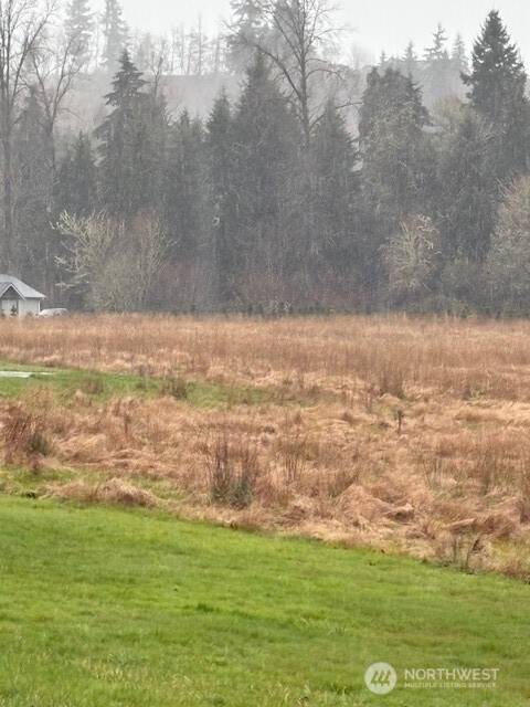 102 Maulwee DR, Silver Creek, WA 98585