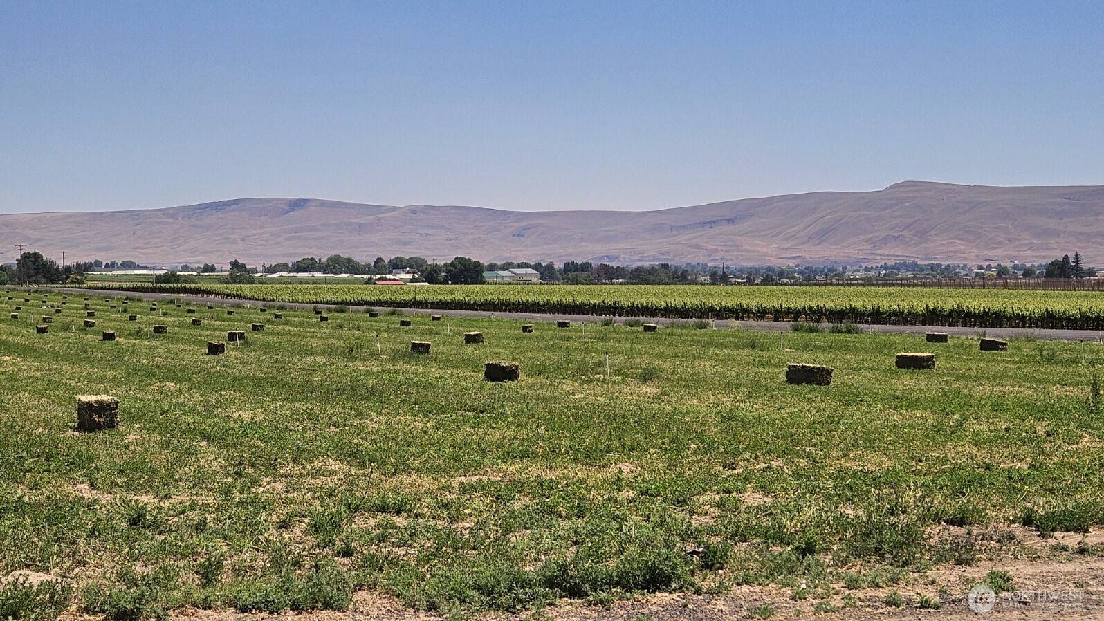 125498 W McCreadie, Prosser, WA 99350