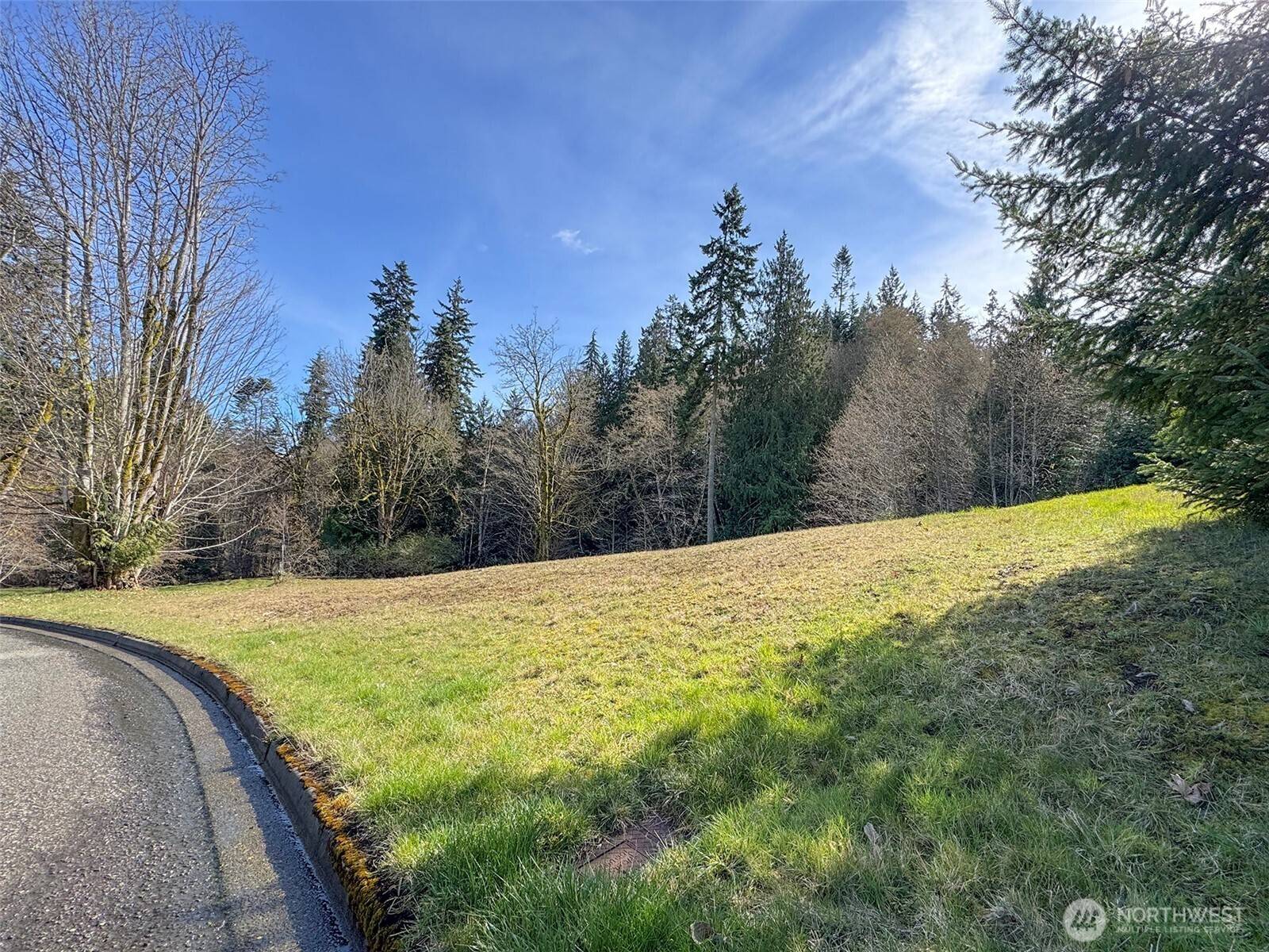 0 Lot 18 Delguzzi DR, Port Angeles, WA 98362