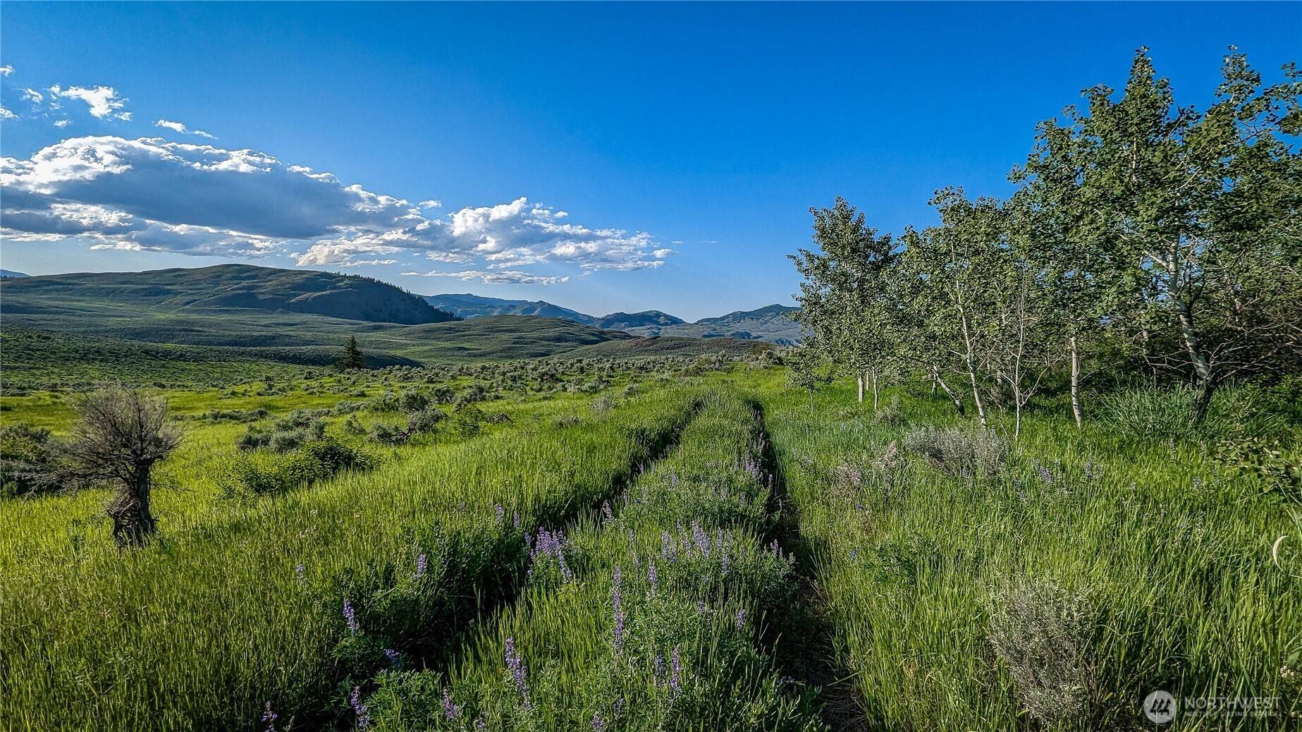 0 NKA Ellemeham Mountain RD, Oroville, WA 98844