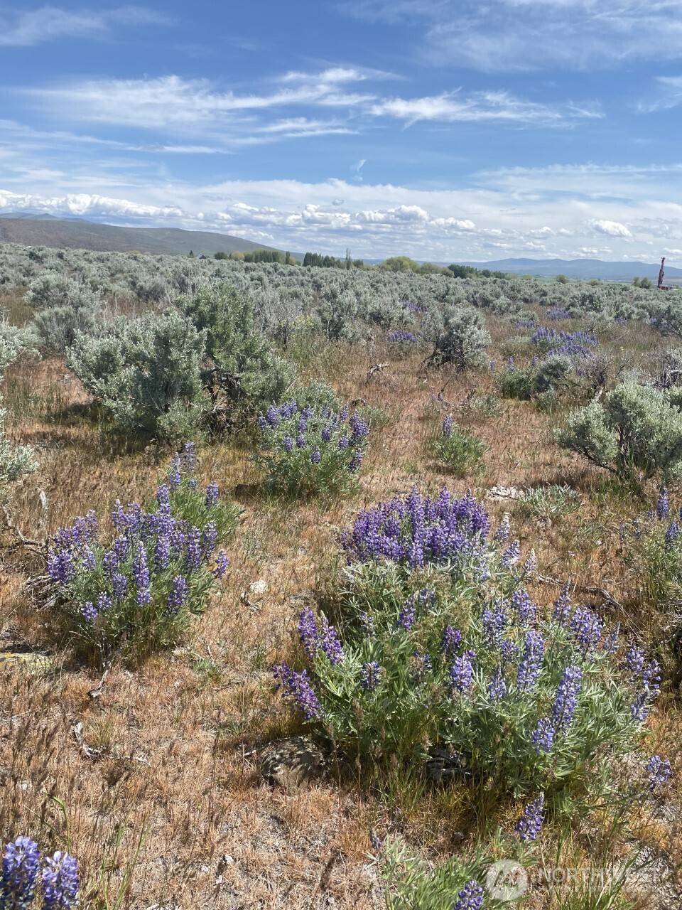 3 A Lester RD, Ellensburg, WA 98926