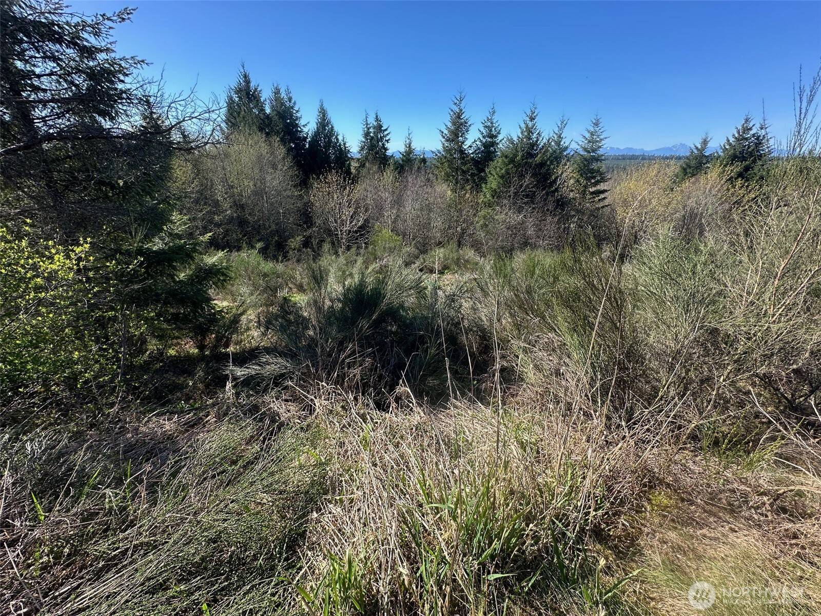 0 TR 1&2 E Agate RD, Shelton, WA 98584