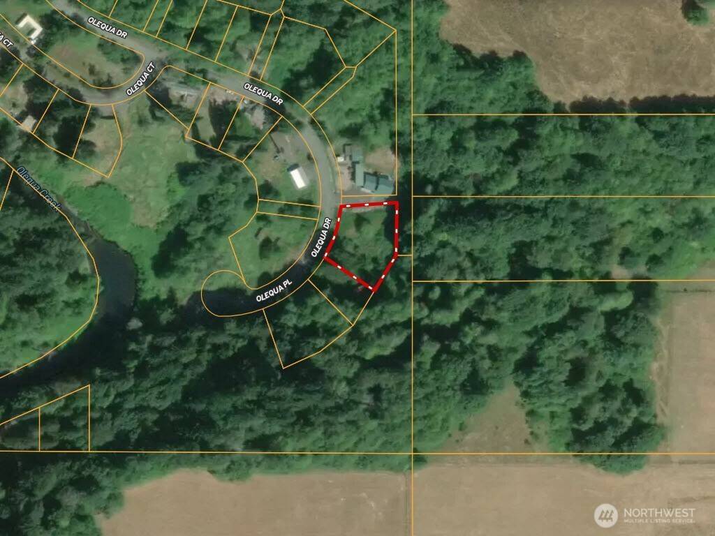 177 Olequa DR, Vader, WA 98593