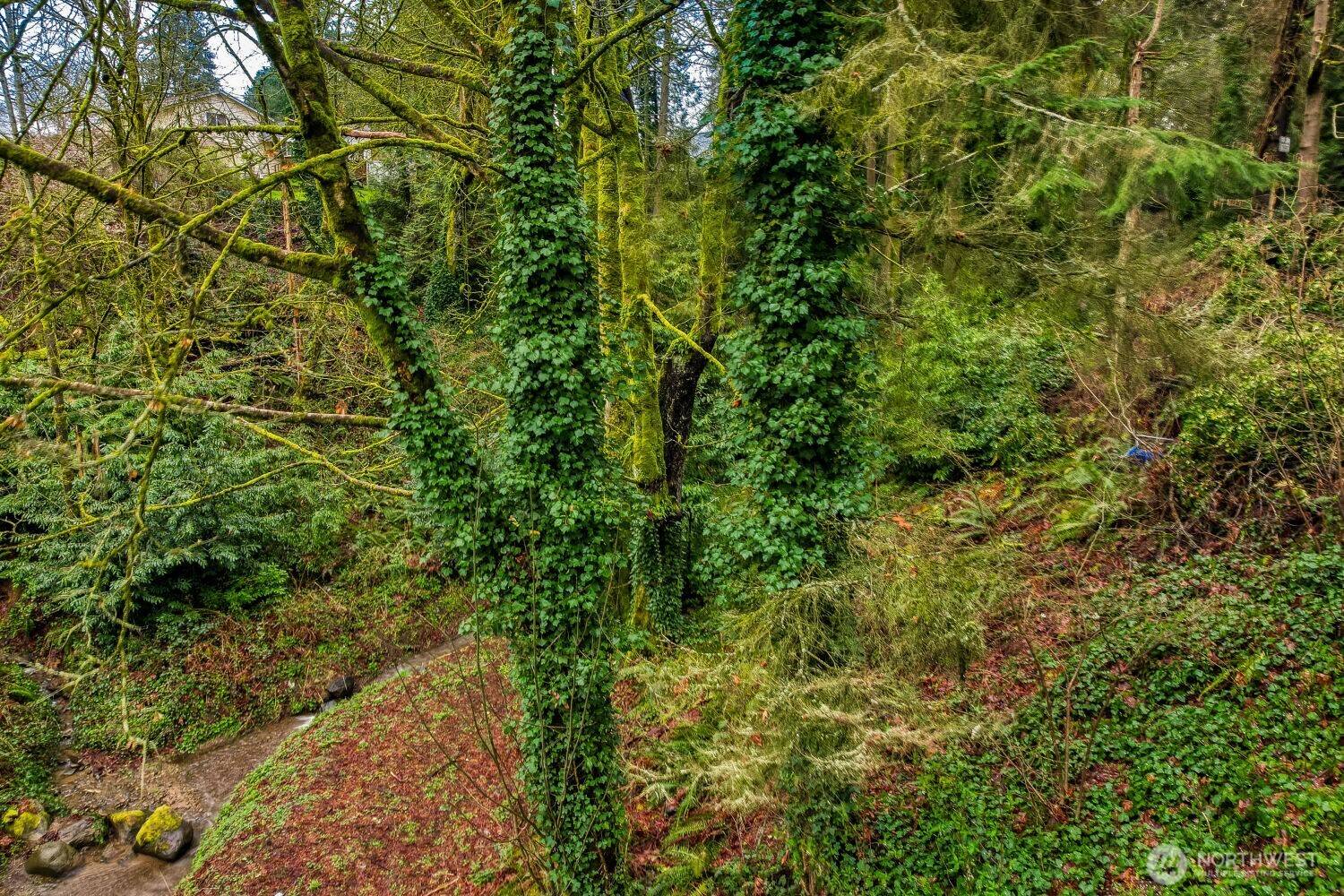 0 S Dash Point RD, Federal Way, WA 98003