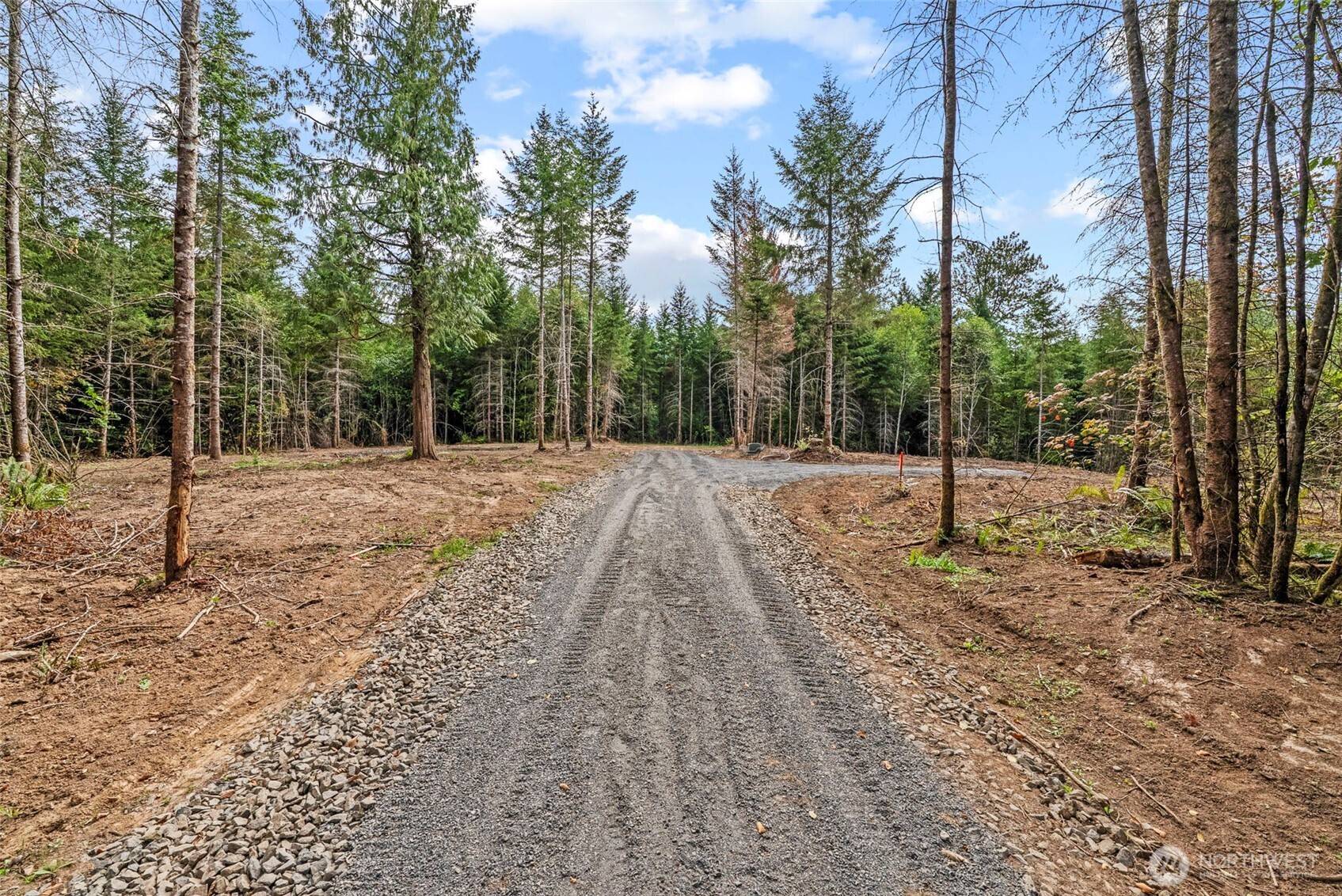 217 Durins PL, Castle Rock, WA 98611