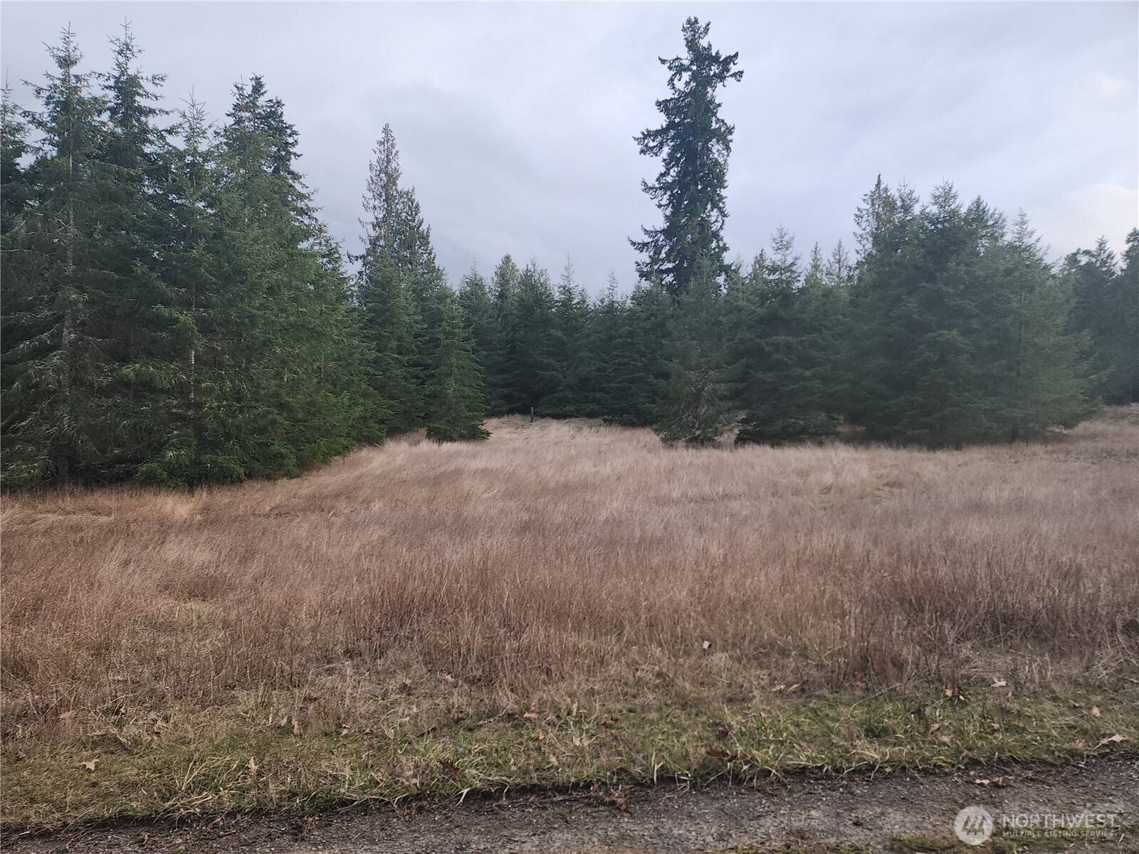 0 Lilly Road, Port Angeles, WA 98382