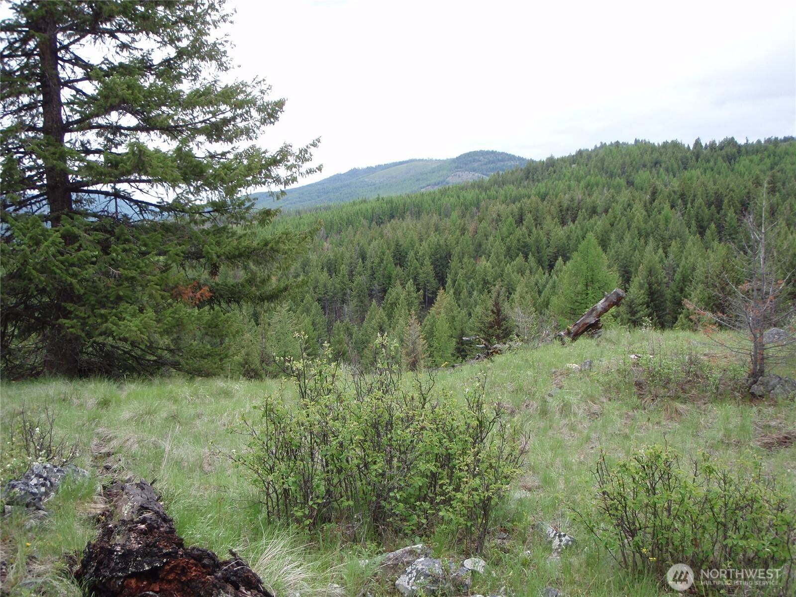 0 Edgewood LN, Curlew, WA 99118