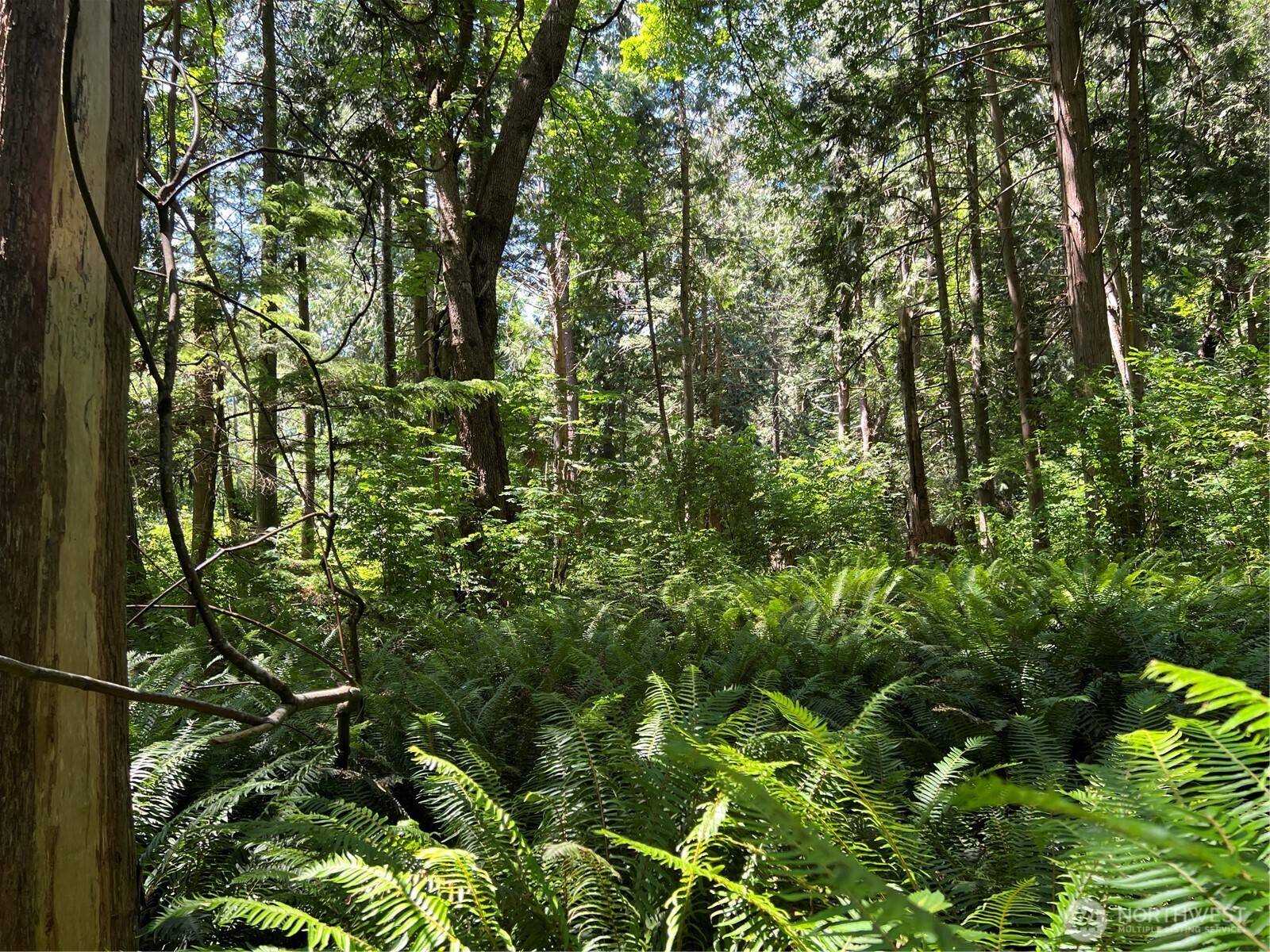 6 acres South Beach RD, Point Roberts, WA 98281