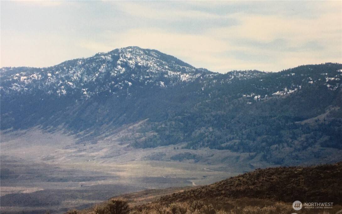 338 Palmer Mountain RD, Oroville, WA 98855