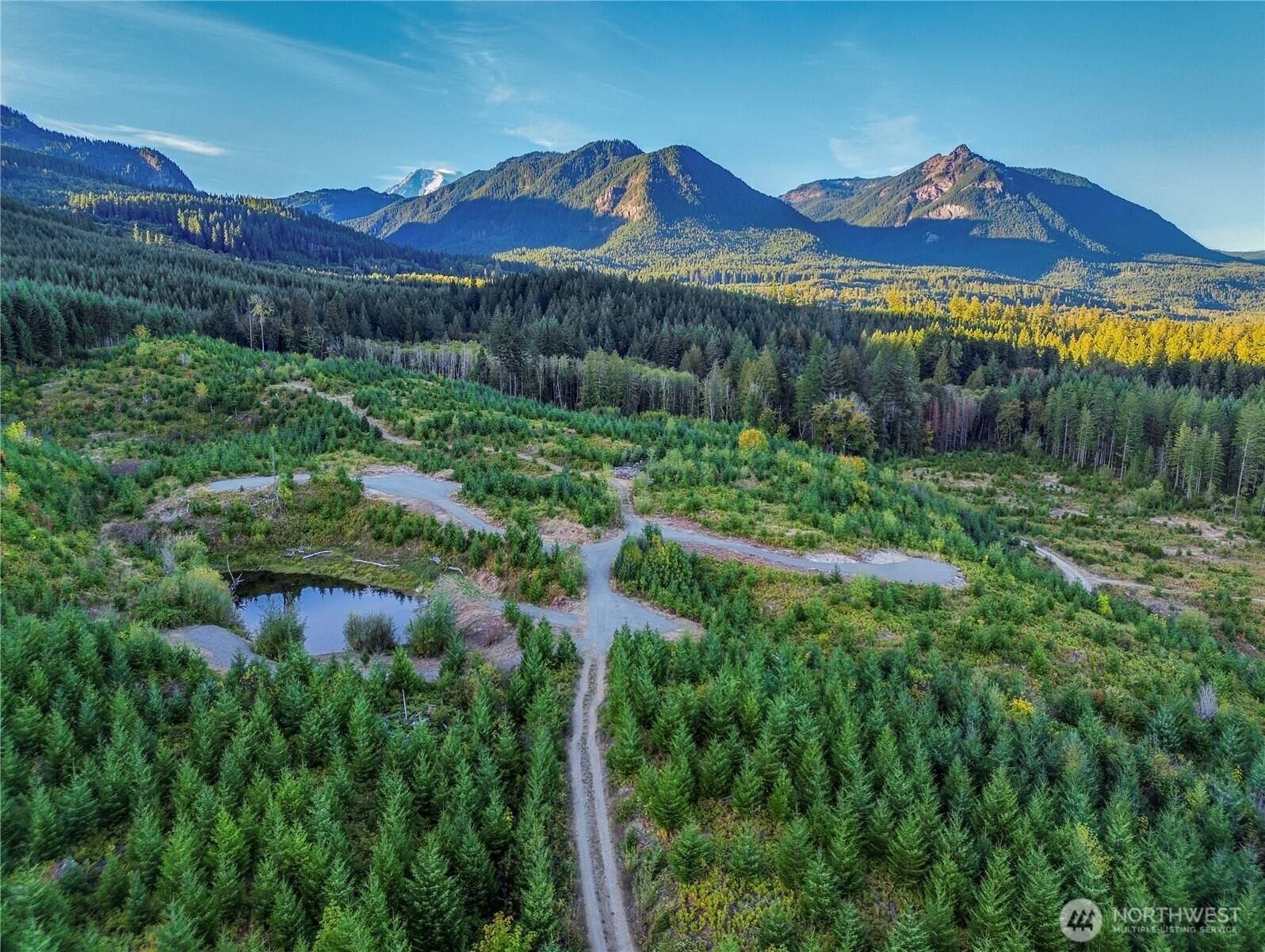 294 Hardy LN, Packwood, WA 98361