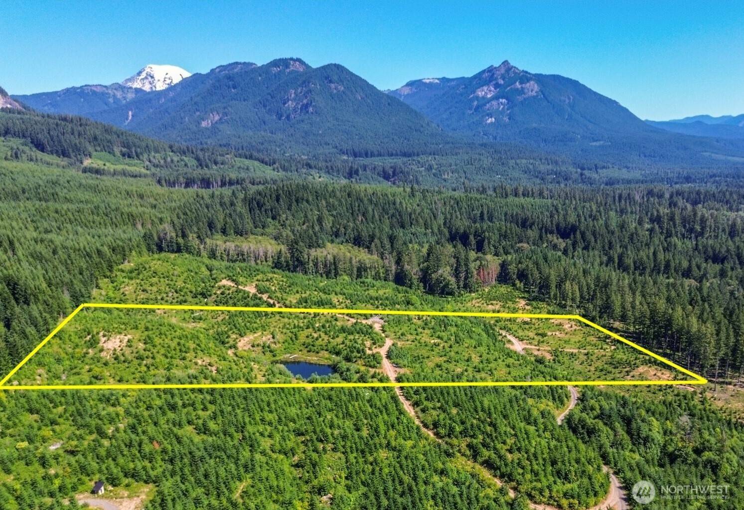 294 Hardy LN, Packwood, WA 98361