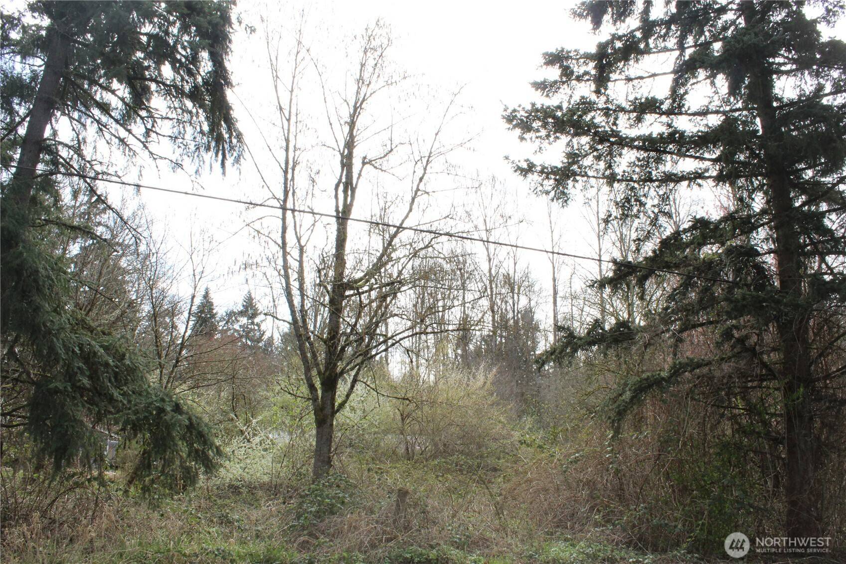 0 121 ST E, Tacoma, WA 98445