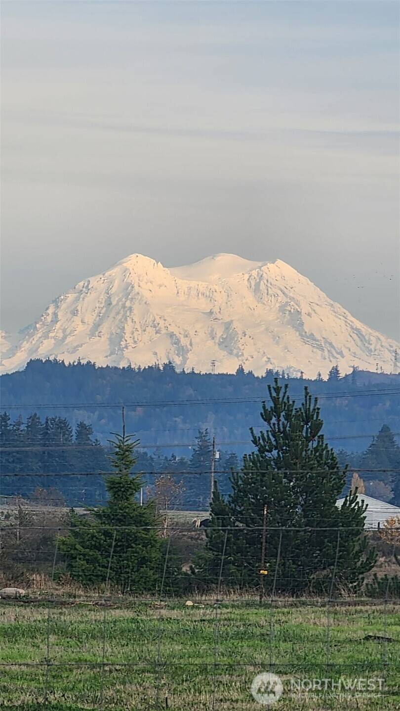16826 Sheldon LN SW, Rochester, WA 98579