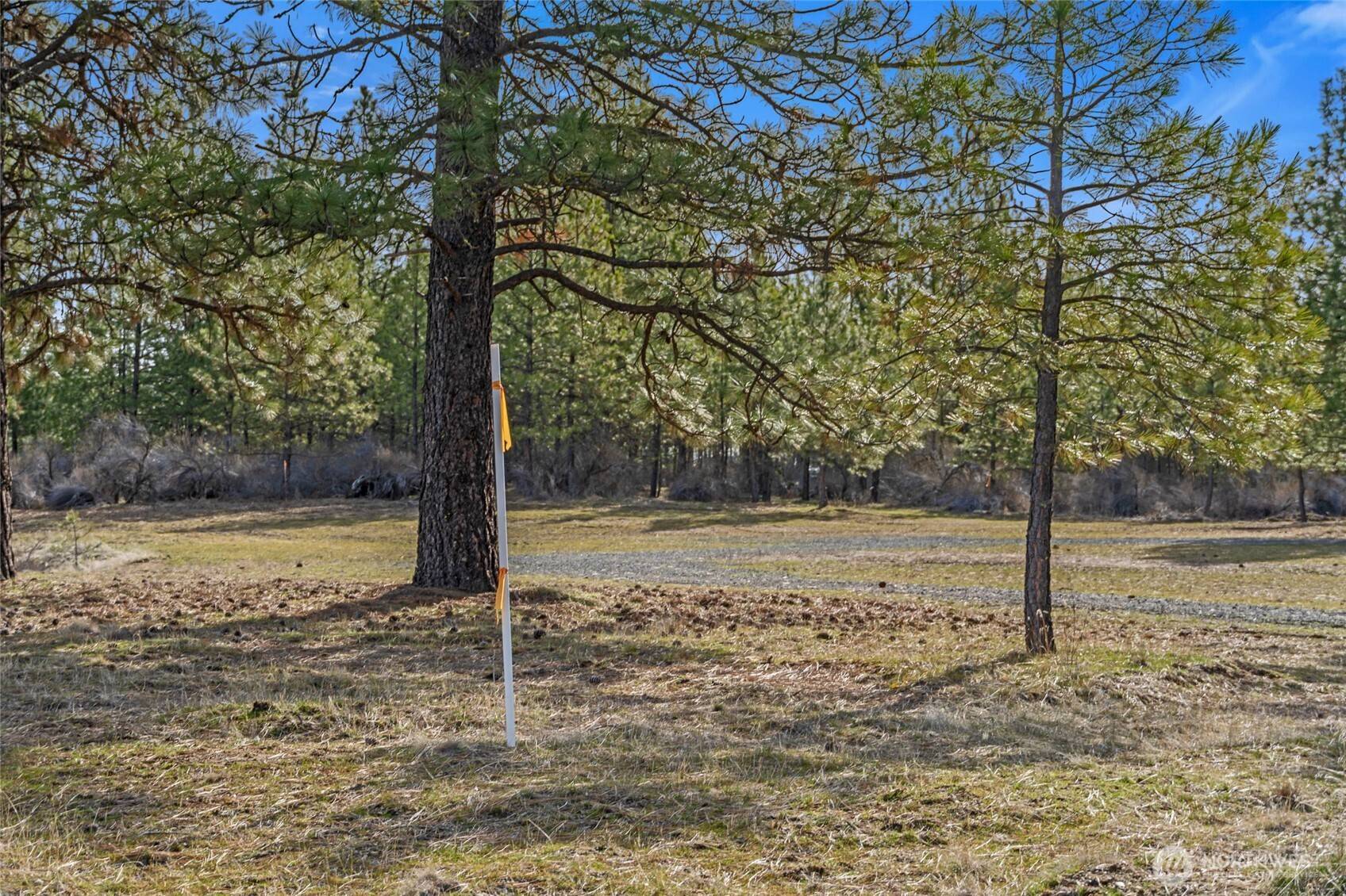 38800 E Sand Flats, Davenport, WA 99122