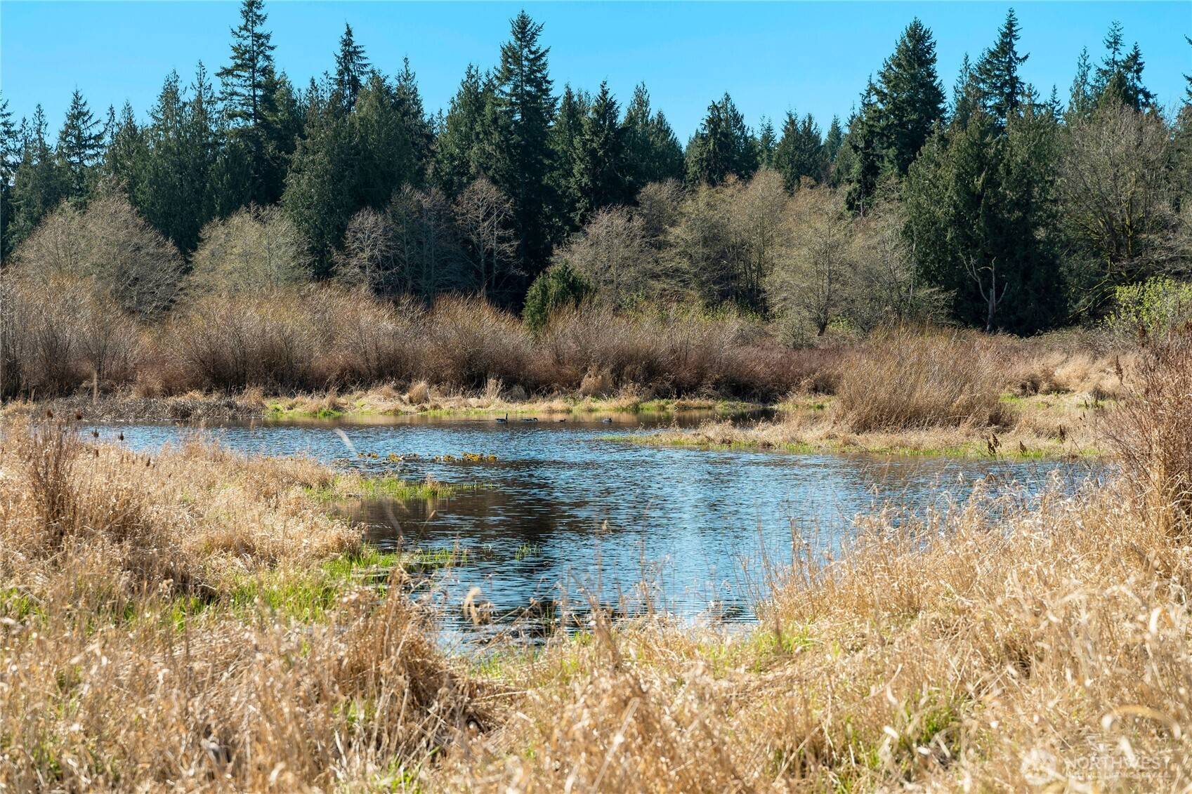 4320 Barbara LN, Clinton, WA 98236