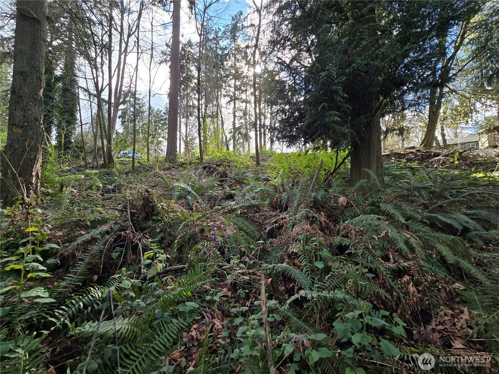 54 xx S 344th ST, Auburn, WA 98001