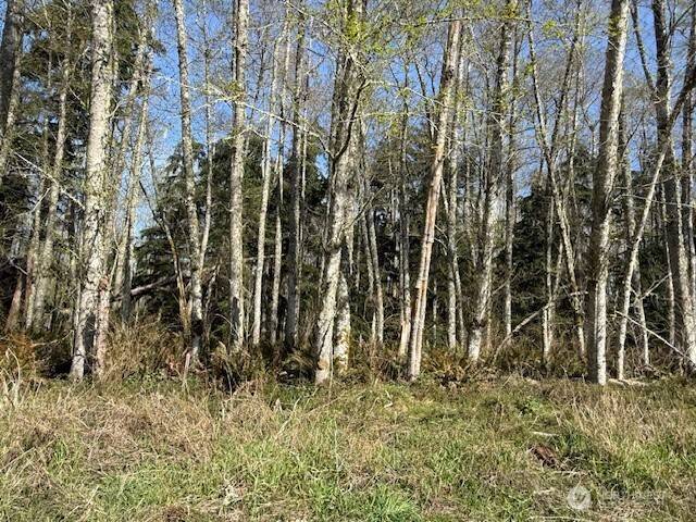 0 Lot 21 Ander Park RD, Freeland, WA 98249