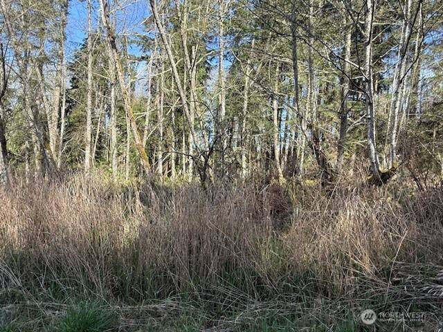 0 Lot 21 Ander Park RD, Freeland, WA 98249