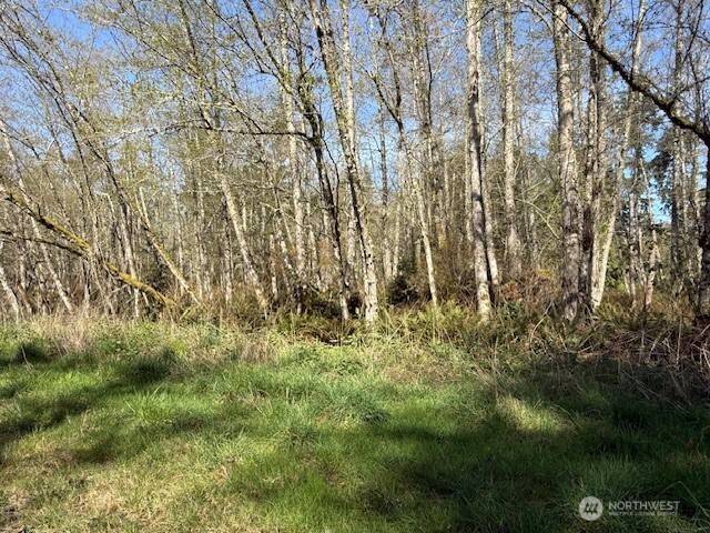0 Lot 2 Ander Park RD, Freeland, WA 98249