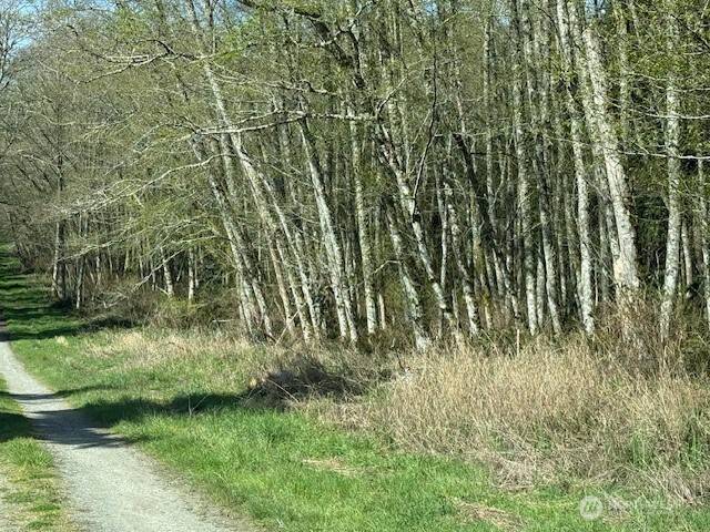 0 Lot 2 Ander Park RD, Freeland, WA 98249