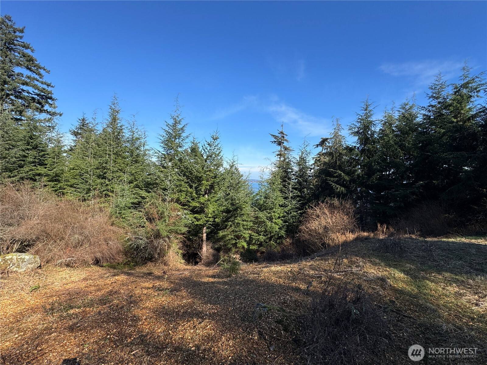 36 Coastline DR, Orcas Island, WA 98245
