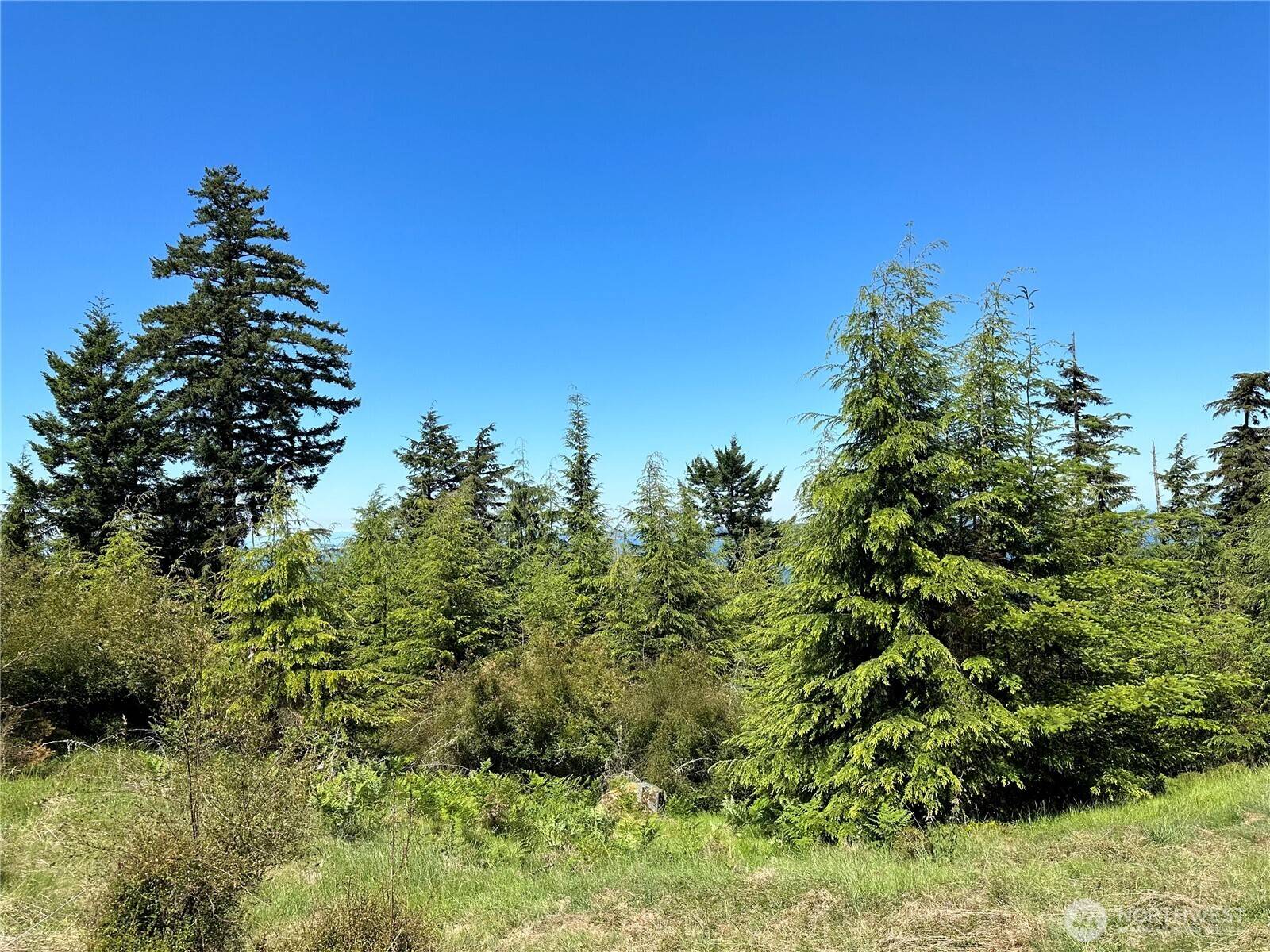 36 Coastline DR, Orcas Island, WA 98245