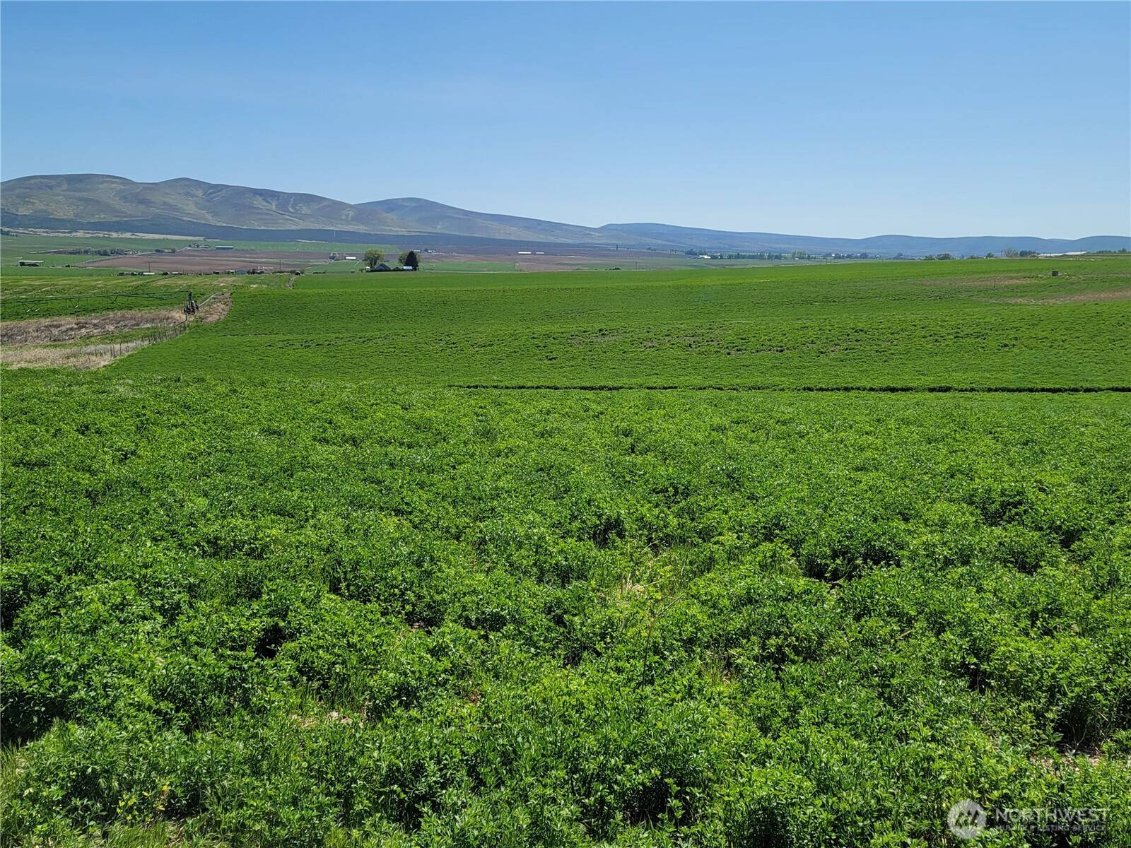 1612 Katen RD, Ellensburg, WA 98926