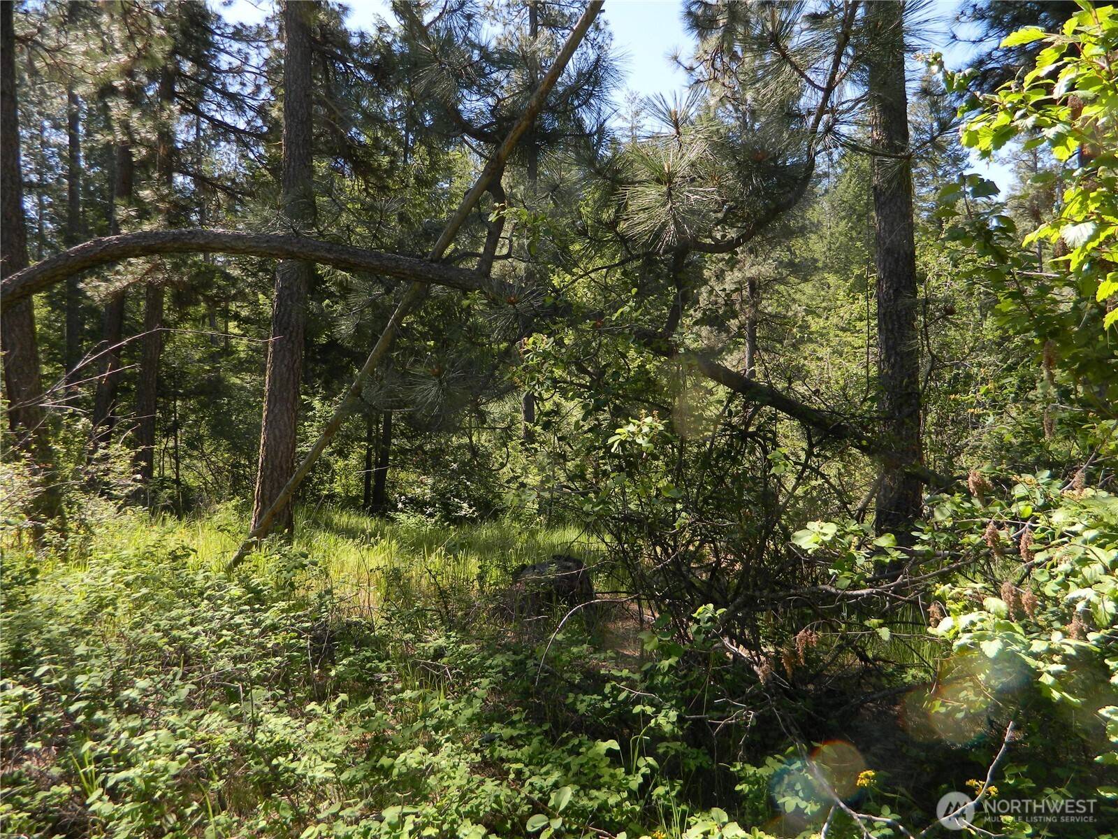 0 Tbd Murphy Ranch RD, Tonasket, WA 98855