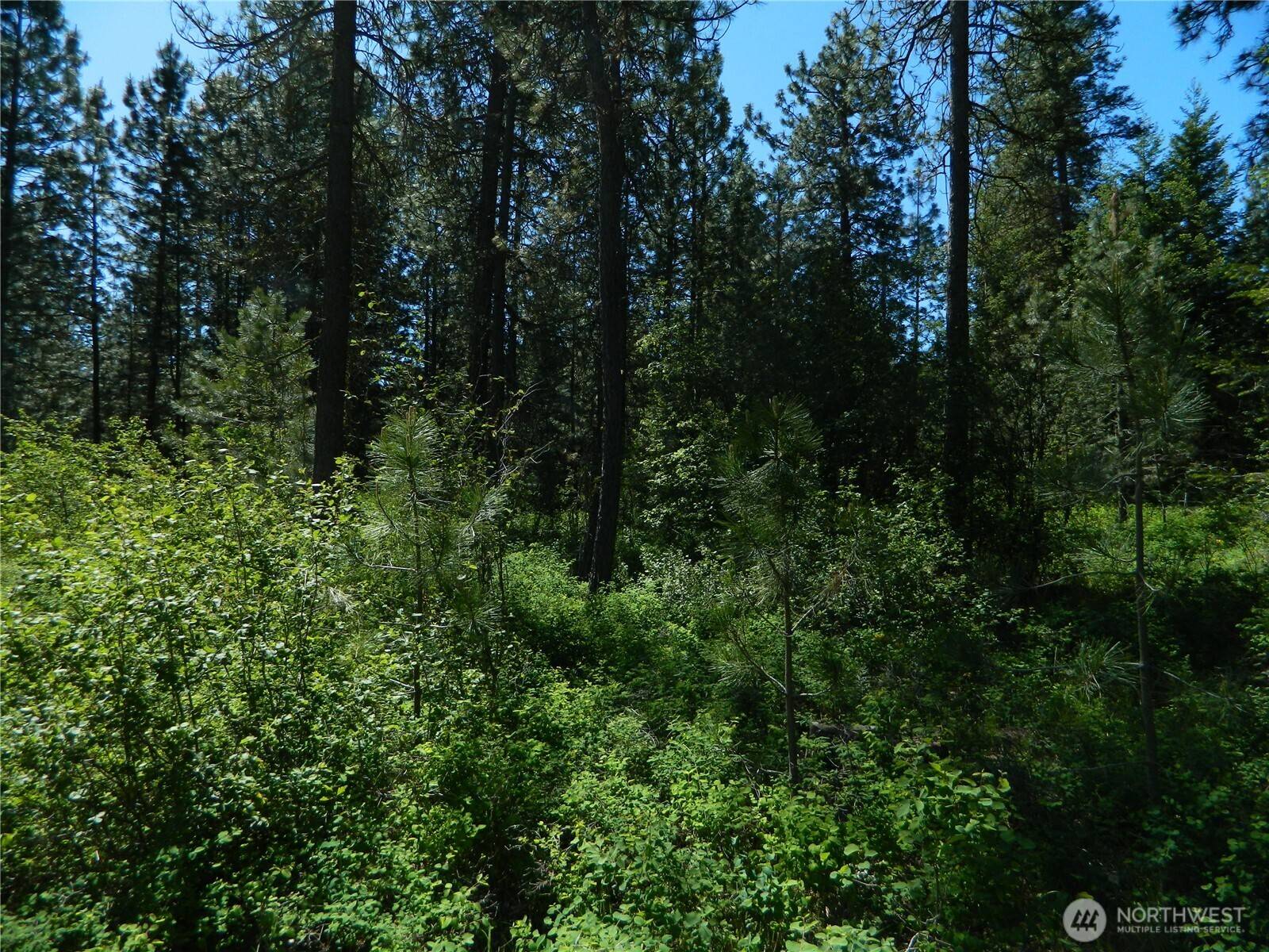 111 TBD Murphy Ranch RD, Tonasket, WA 98855