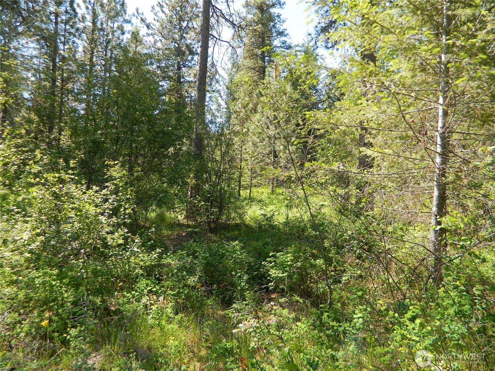 111 TBD Murphy Ranch RD, Tonasket, WA 98855
