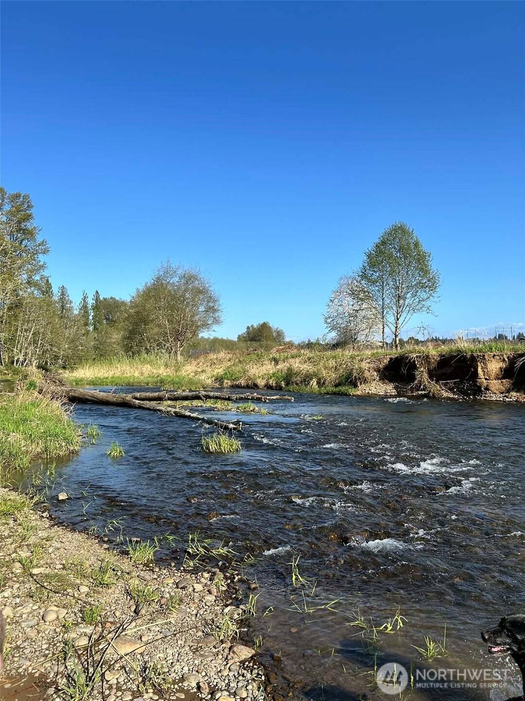 1554 State Route 508, Onalaska, WA 98570