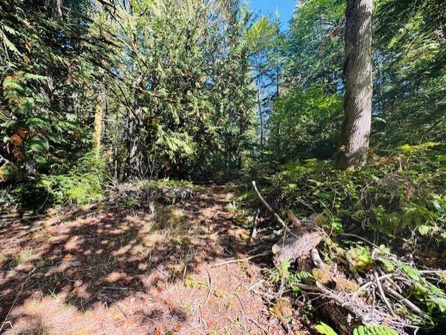 0 E Agate RD, Shelton, WA 98584