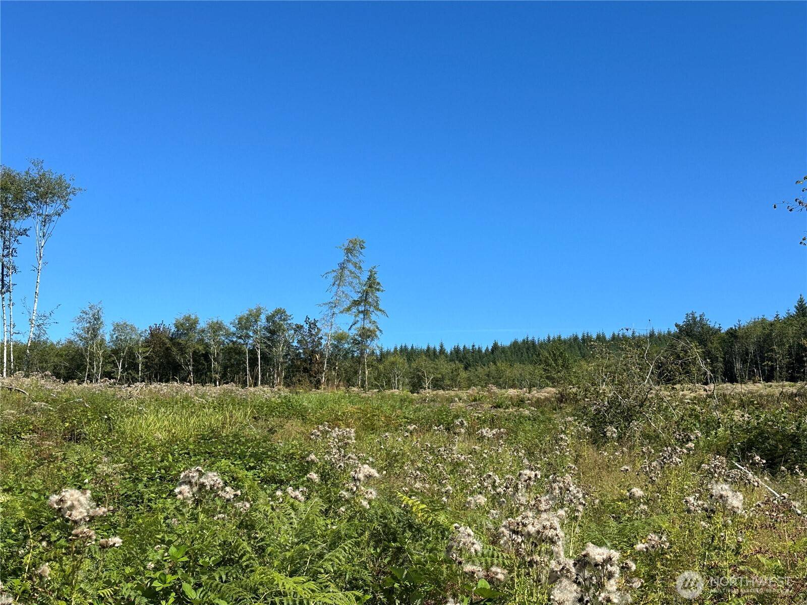 0 Cedar Creek RD, Oakville, WA 98568