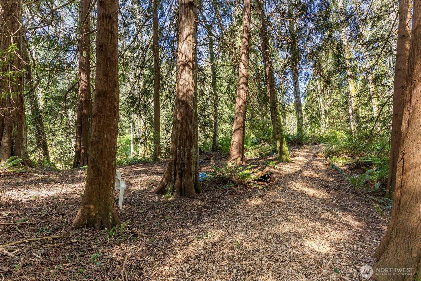 37060 Madrona BLVD NE, Hansville, WA 98340