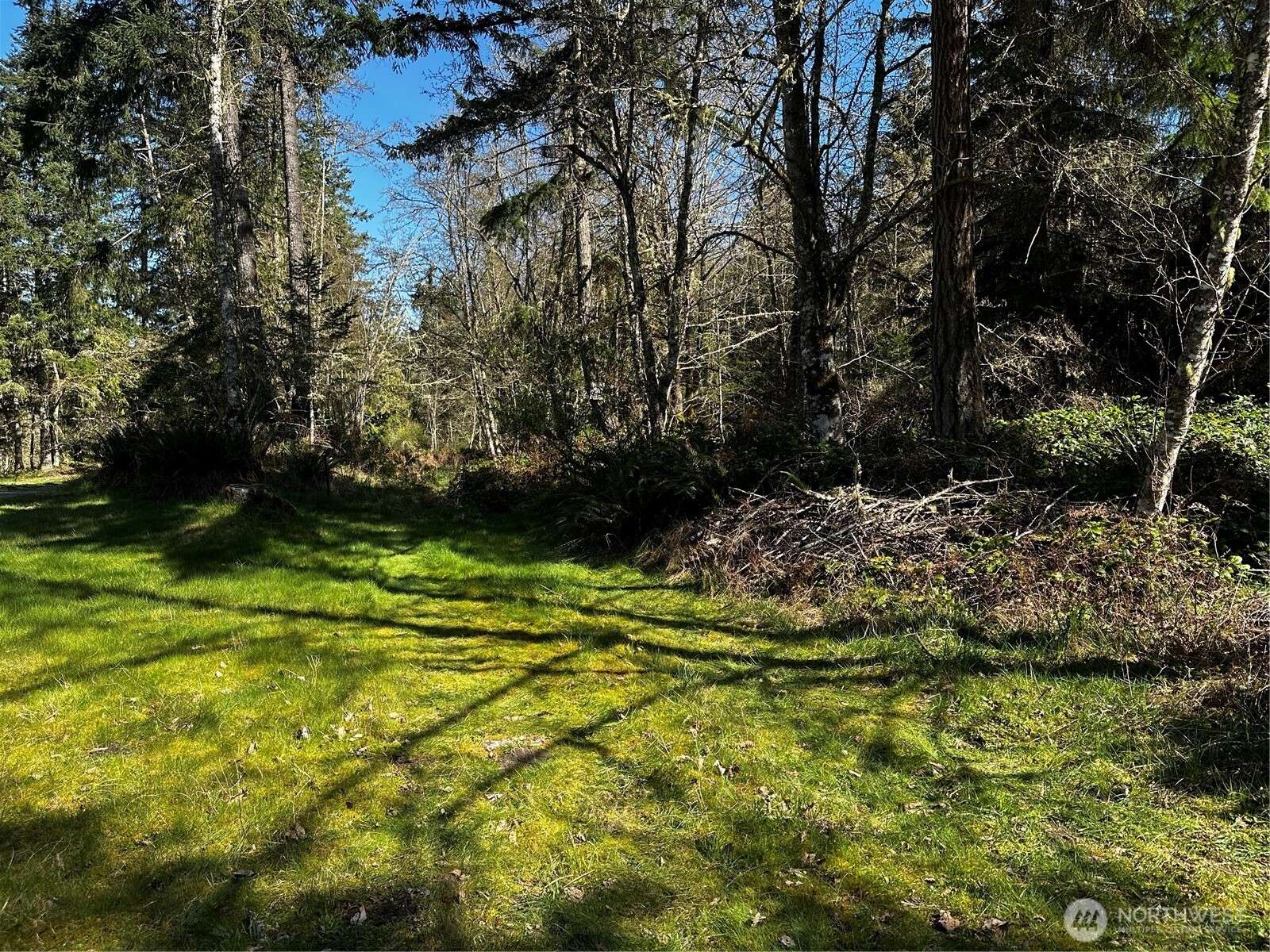 999 Lot 2 Robinson RD, Port Angeles, WA 98362