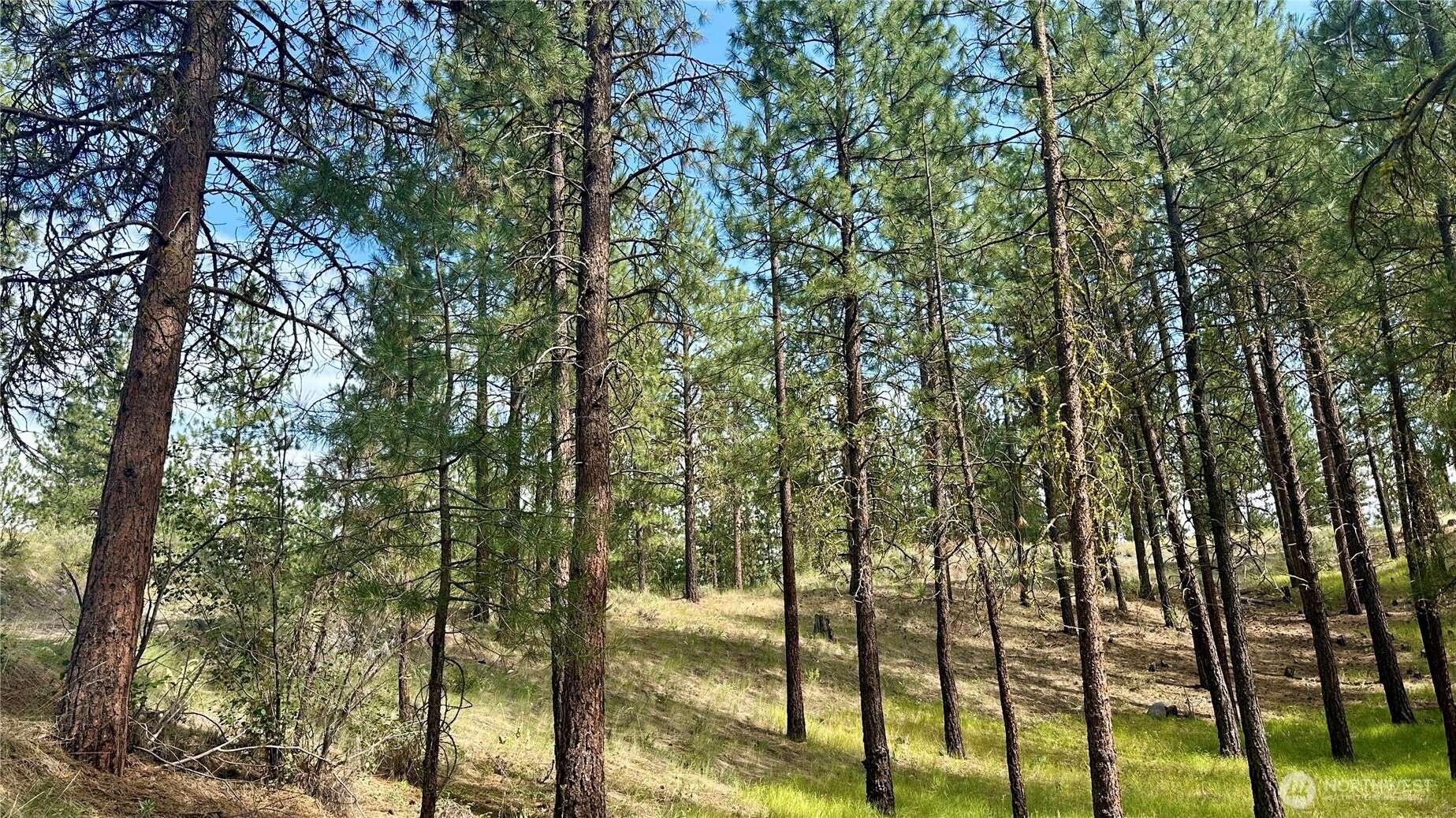 98 Larkspur DR, Winthrop, WA 98862