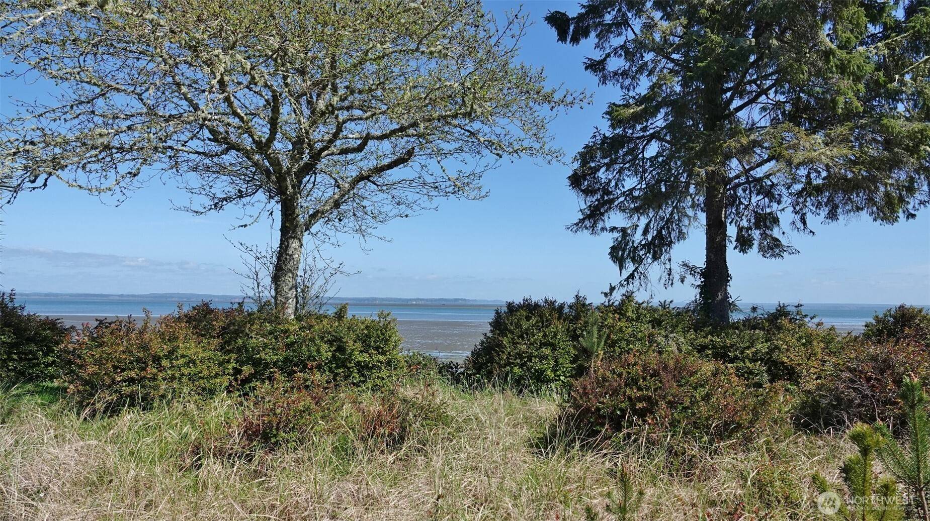 574 Chinook AVE SE, Ocean Shores, WA 98569
