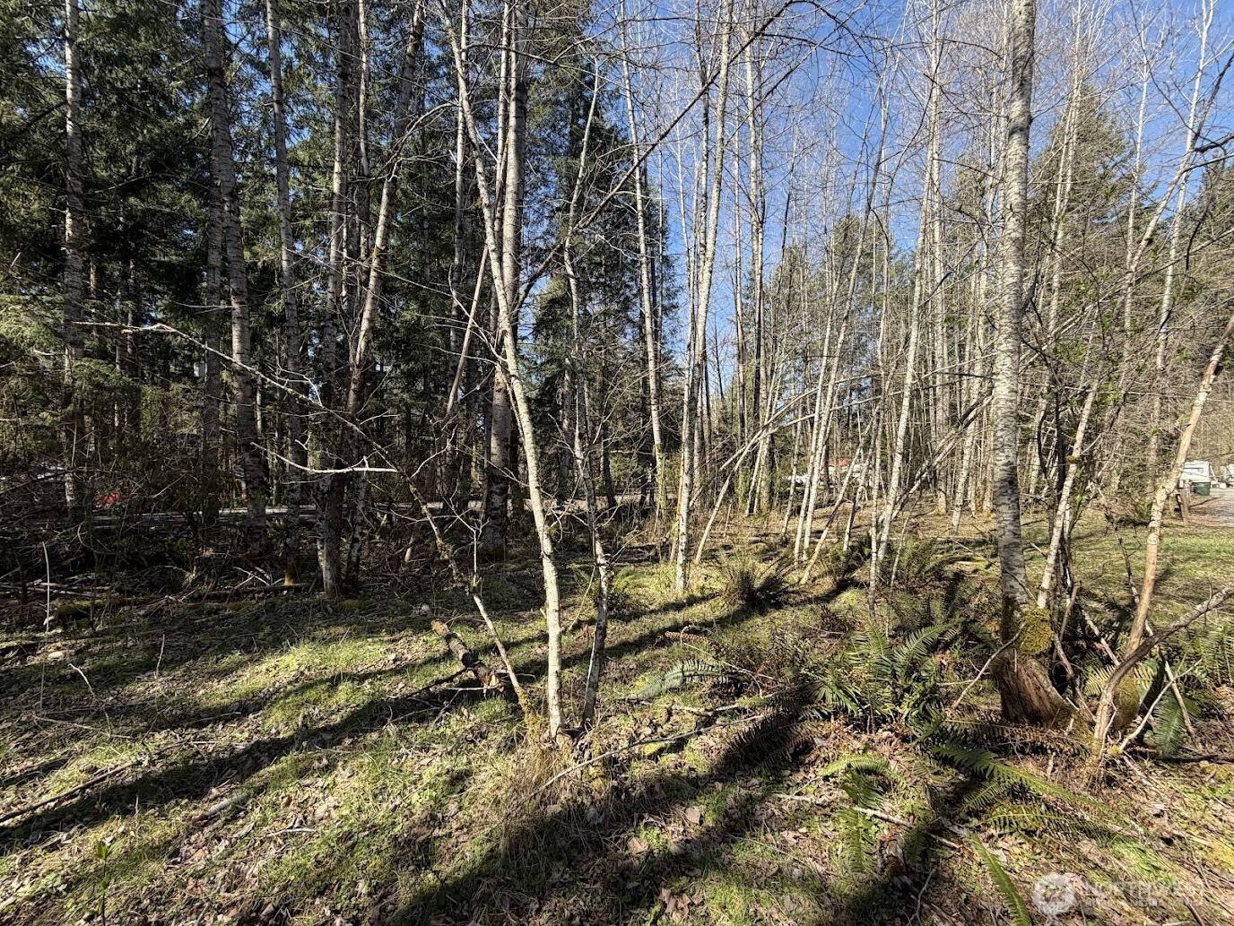 181 Nisqually Way, Ashford, WA 98304