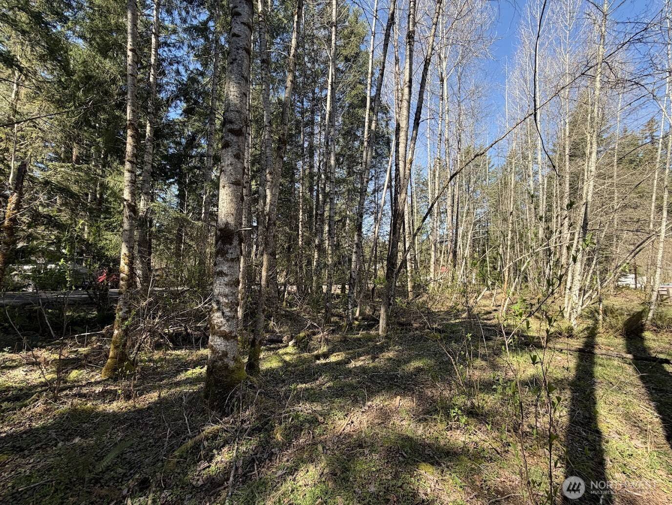 181 Nisqually Way, Ashford, WA 98304