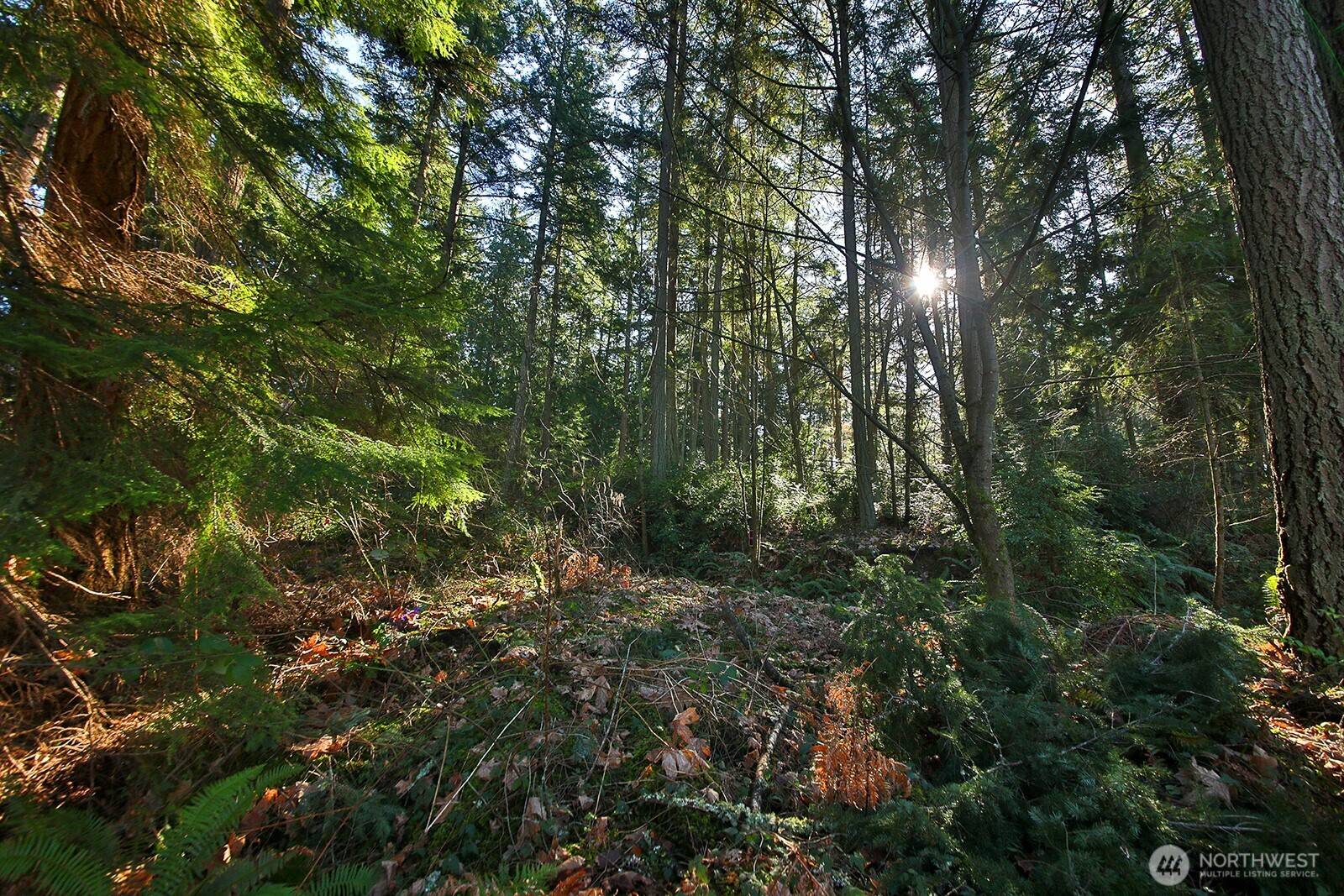 6880 Holst RD, Clinton, WA 98236
