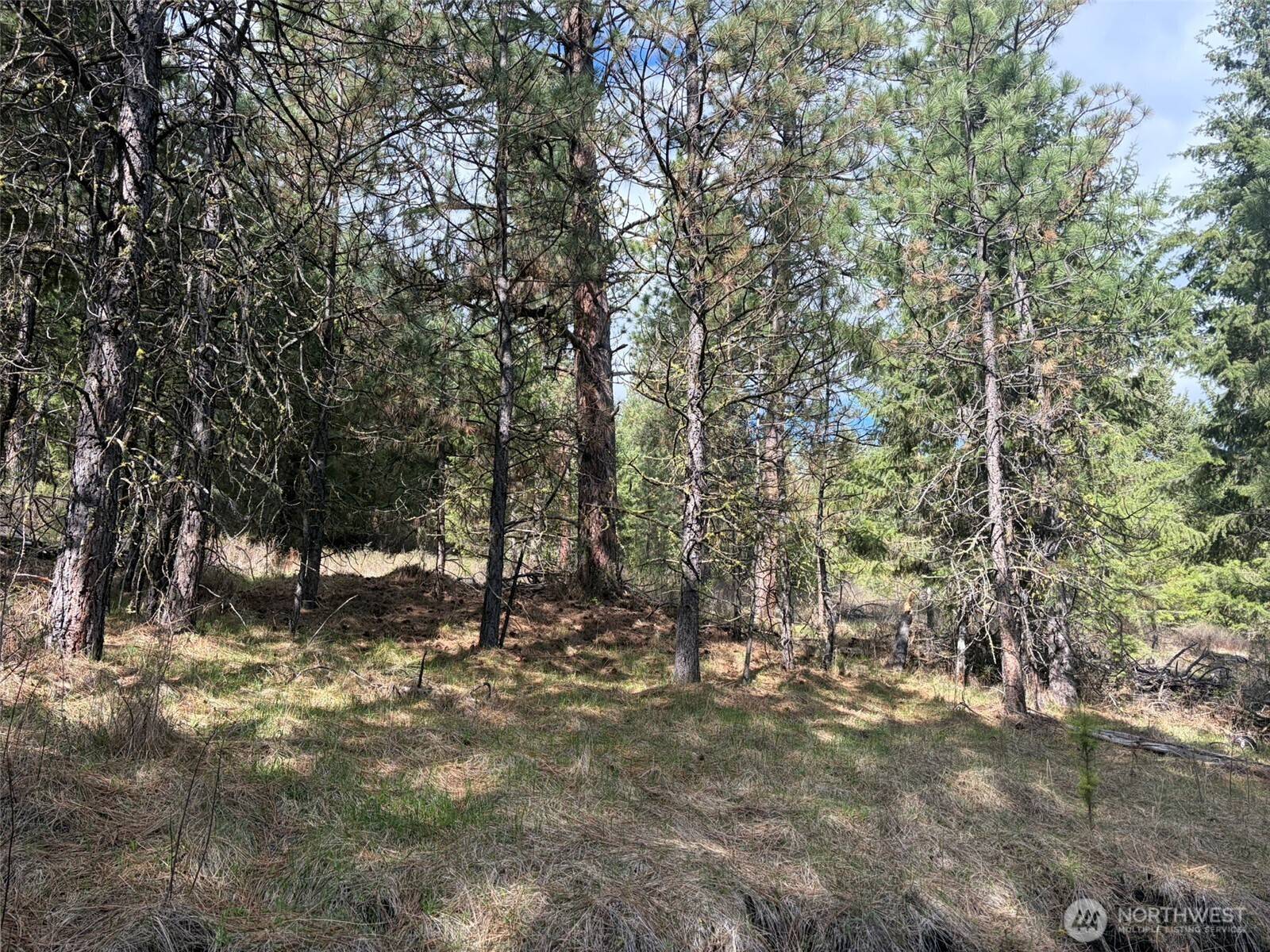 111 TBD E West Curlew Lake RD, Republic, WA 99166