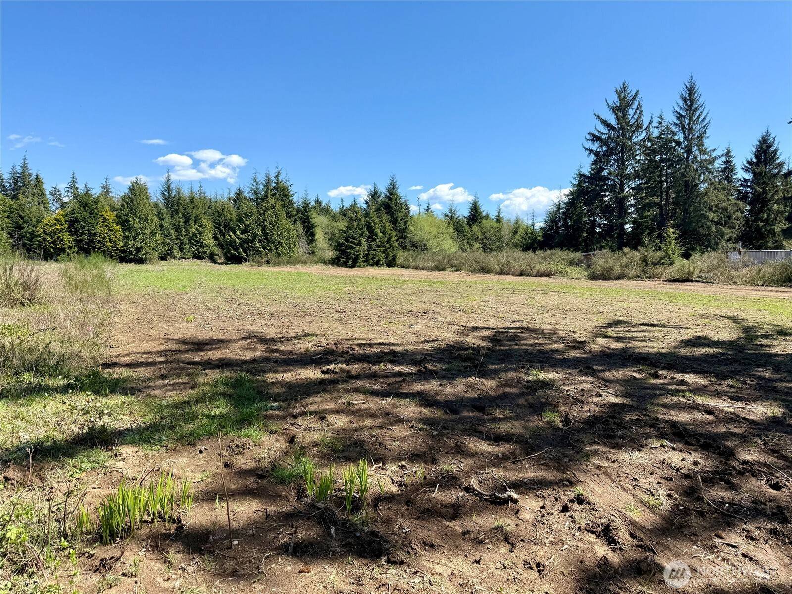 81 XXX Plum ST, Aberdeen, WA 98569