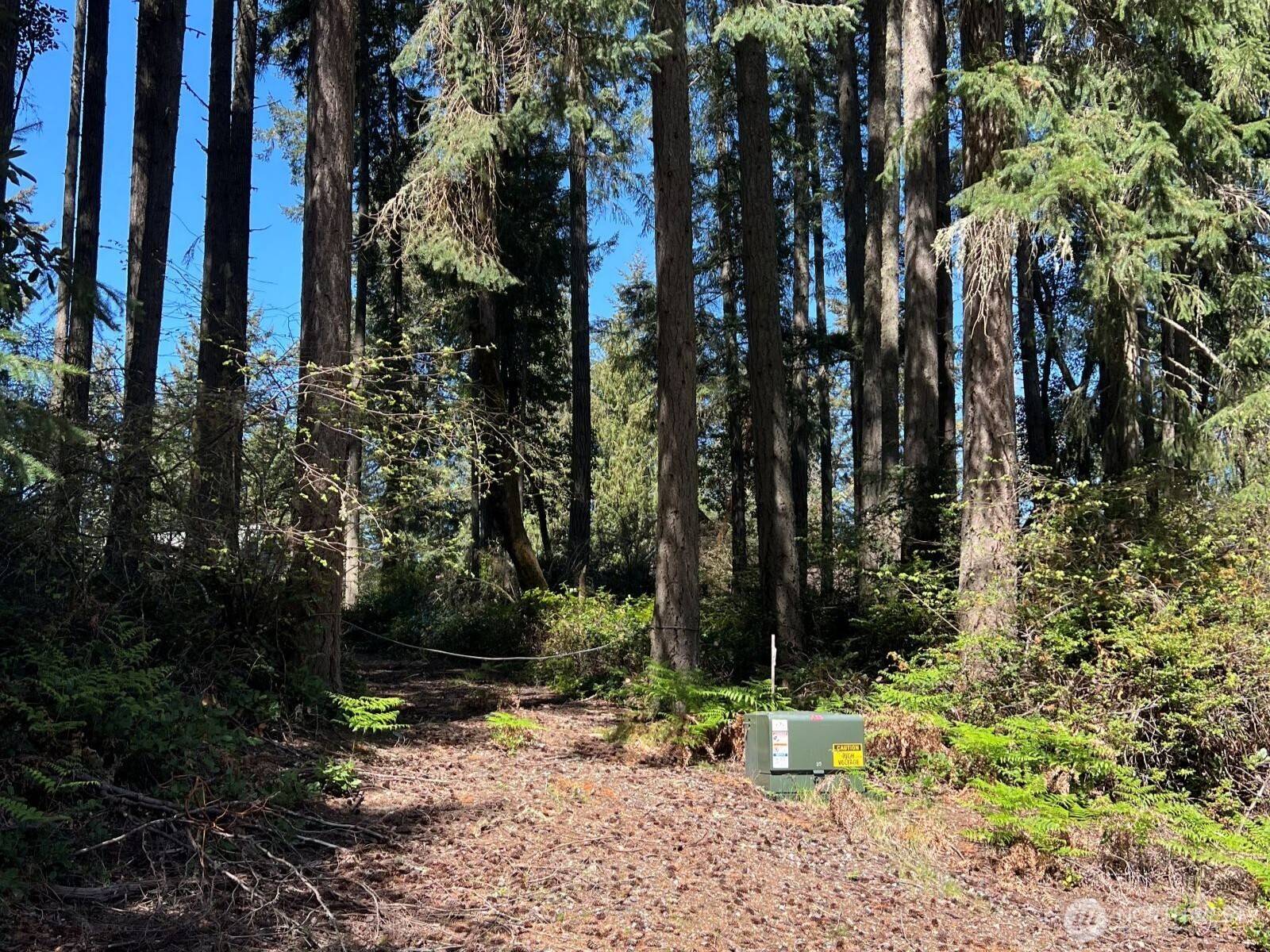 11410 103rd ST, Anderson Island, WA 98303