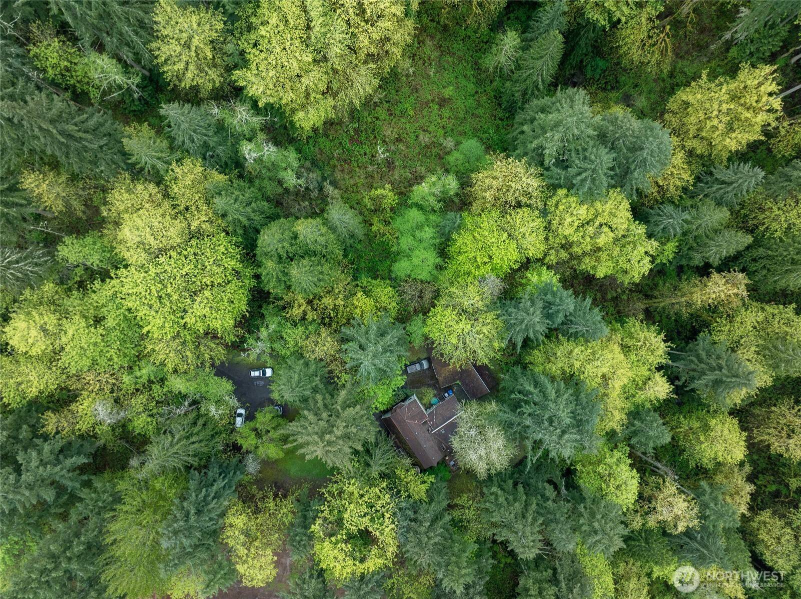 611 208th AVE SE, Sammamish, WA 98074