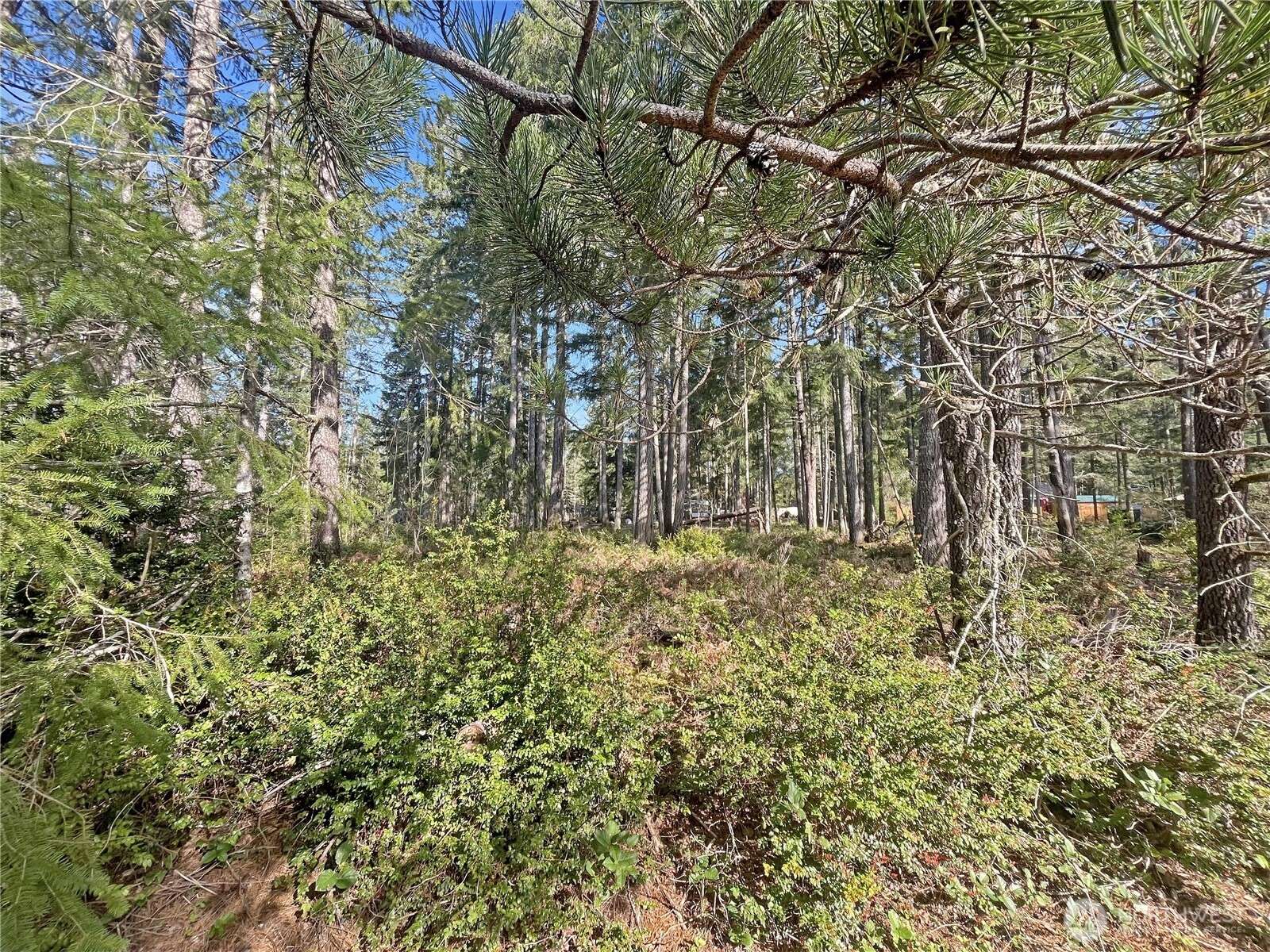 21 N Varden WAY, Hoodsport, WA 98548