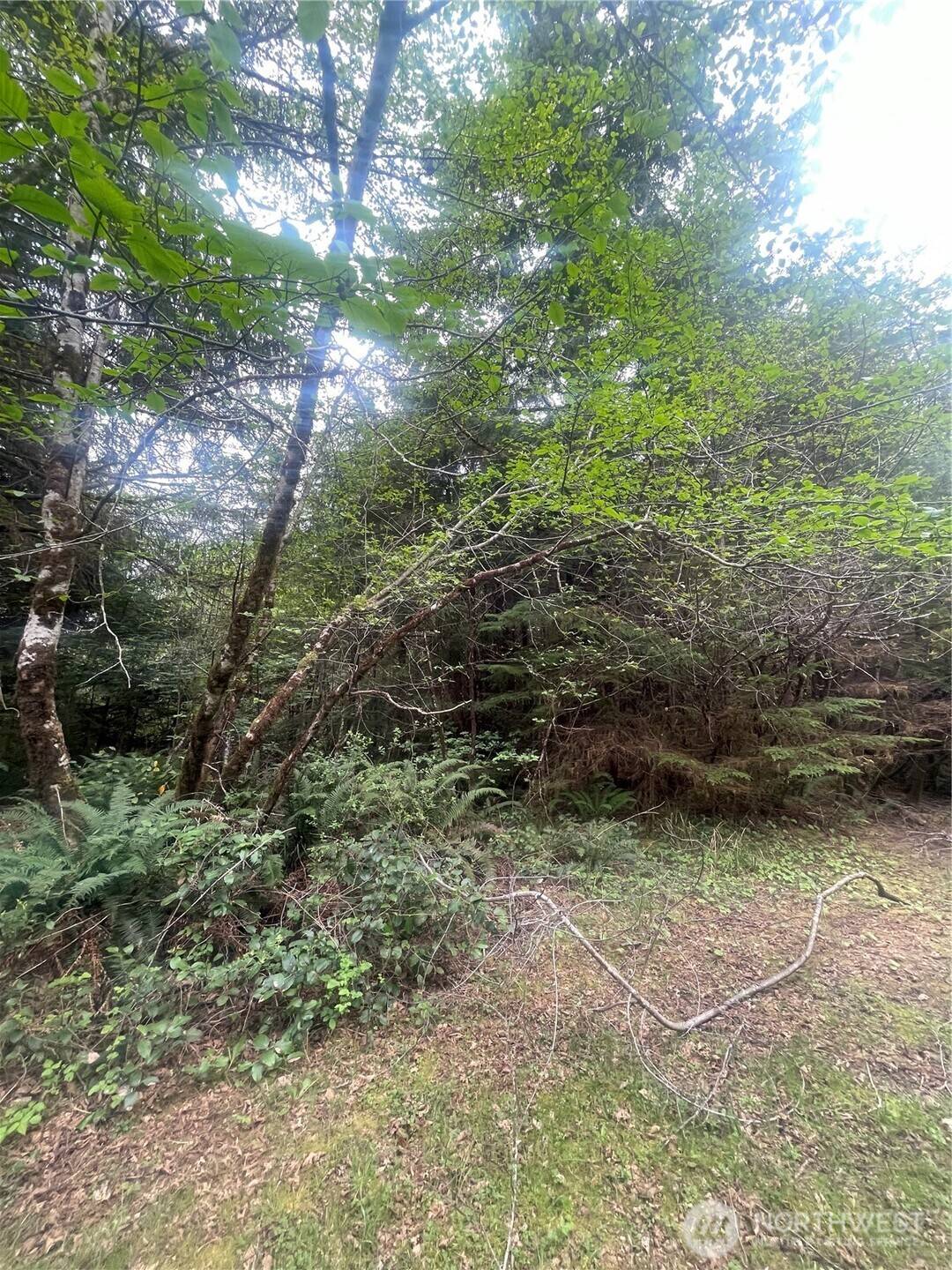 0 Lot 42 Bay LN, South Bend, WA 98586