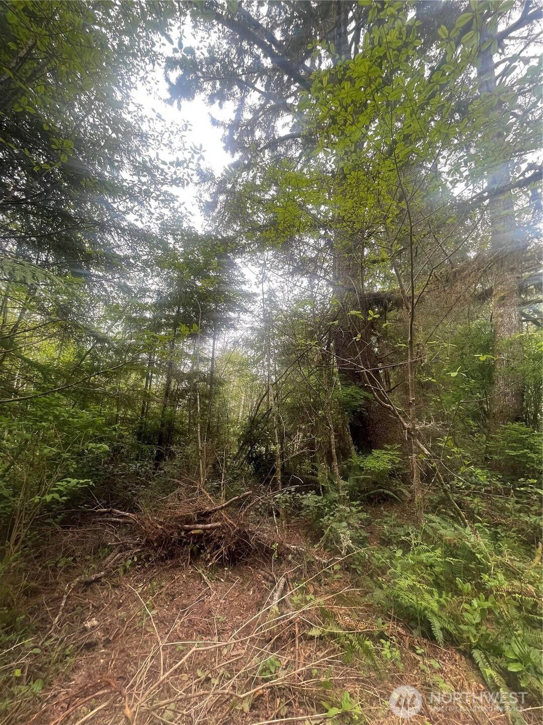 0 Lot 42 Bay LN, South Bend, WA 98586