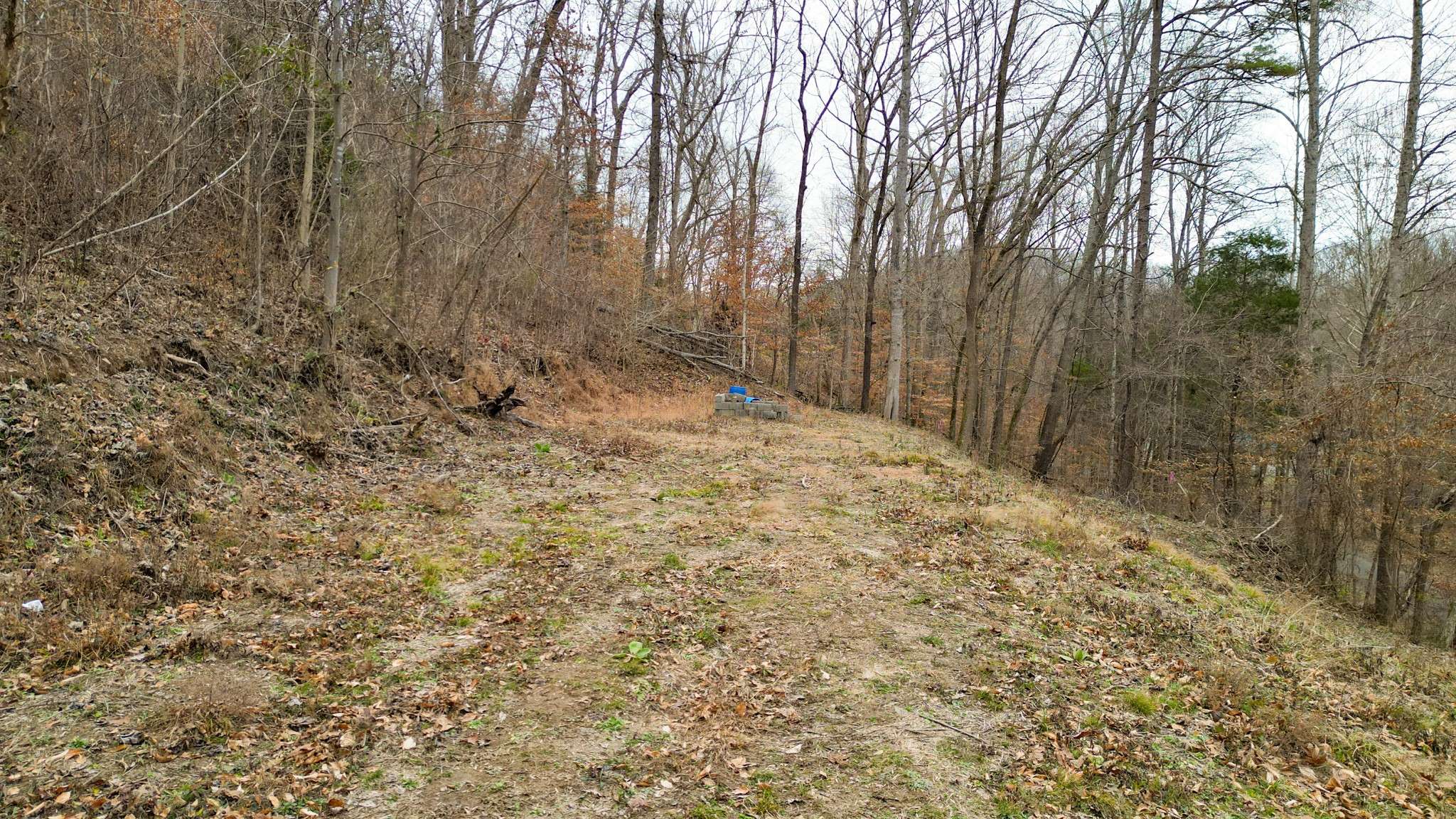 20 Deerwood, Pegram, TN 37143