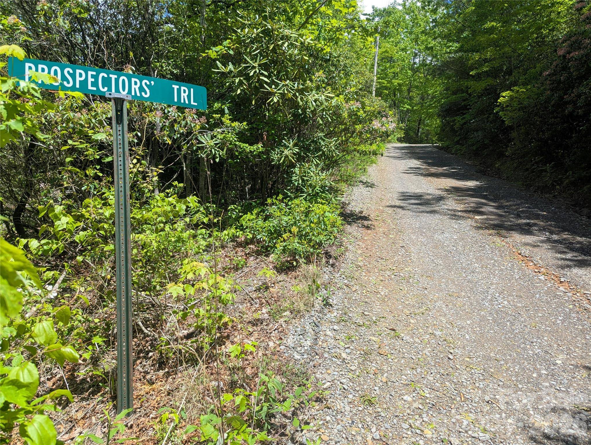 99999 Prospectors TRL, Black Mountain, NC 28711
