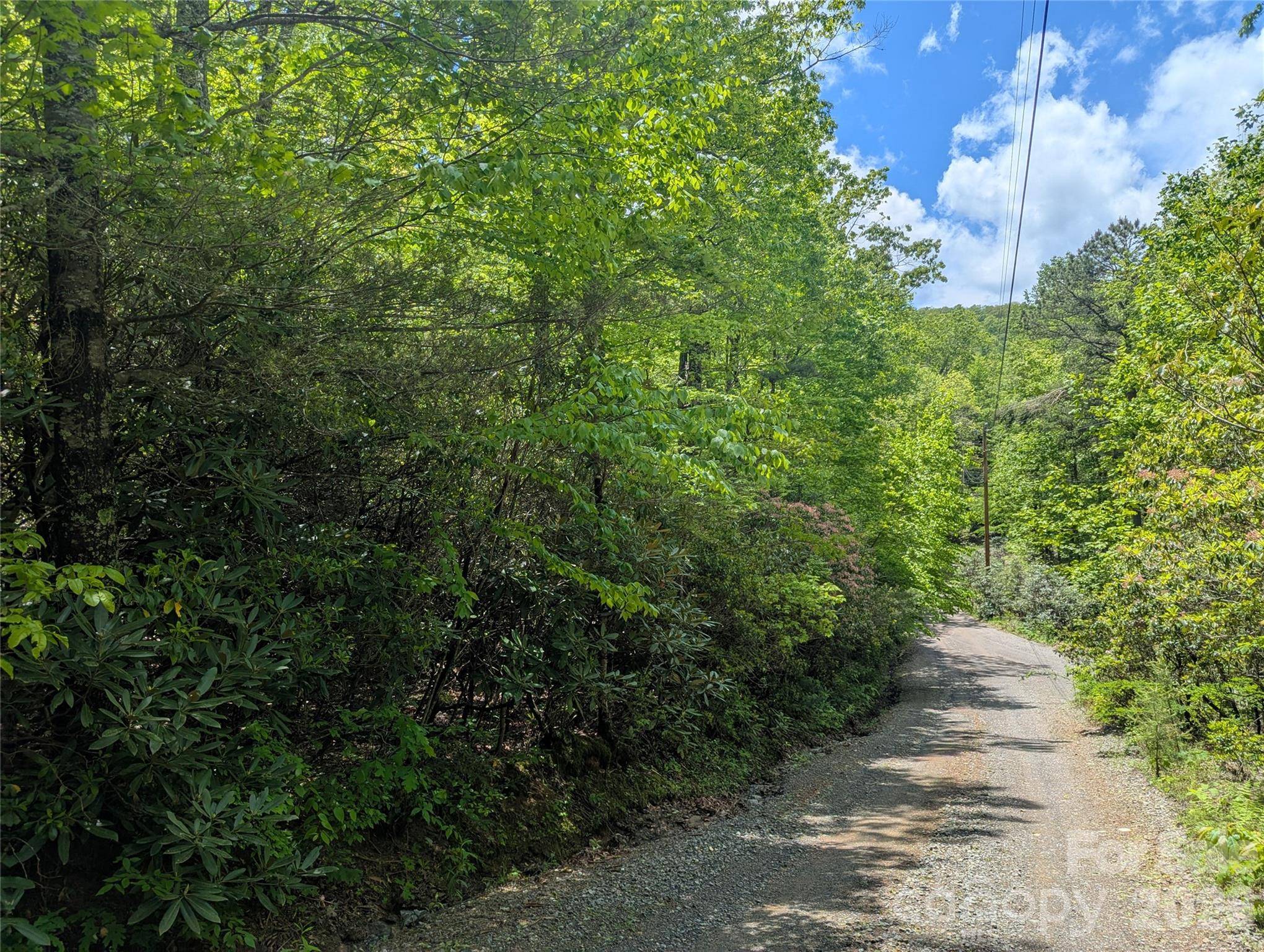 99999 Prospectors TRL, Black Mountain, NC 28711